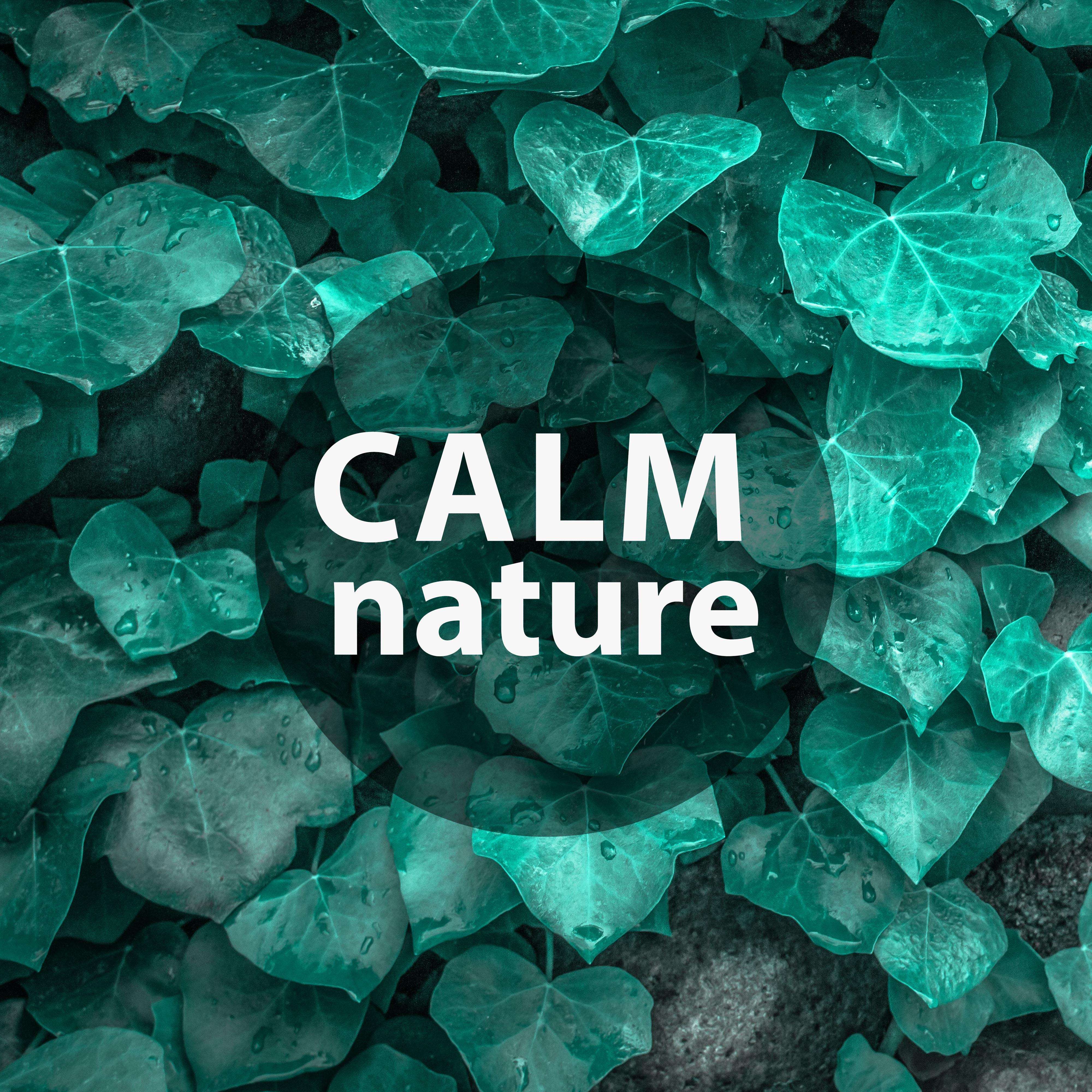 Calm Nature – Nature Music to Help You Relax, Soft Sounds, New Age Relaxation, Water Sounds