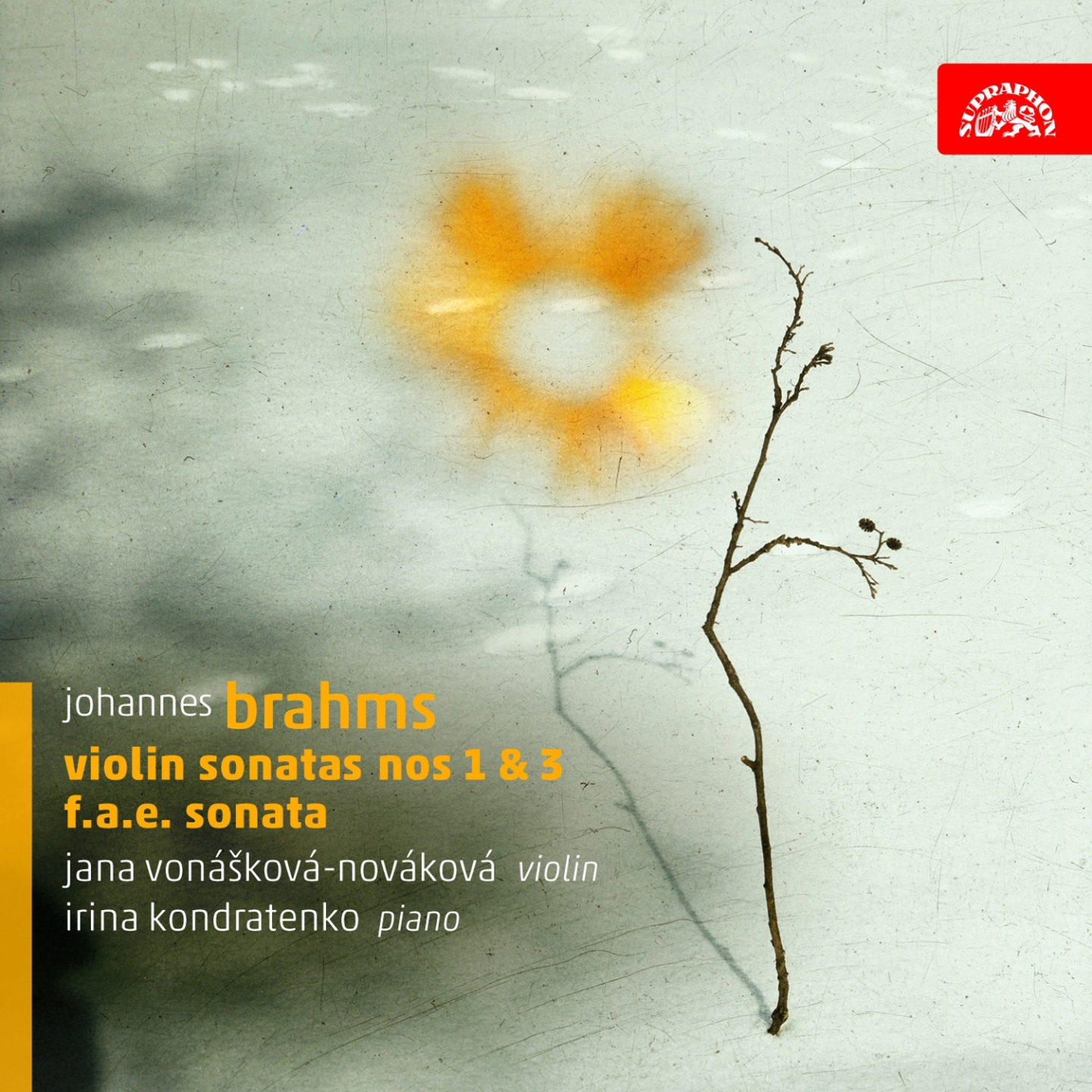 Sonata for Violin and Piano No. 3 in D Minor, Op. 108: III. Un poco presto e con sentimento