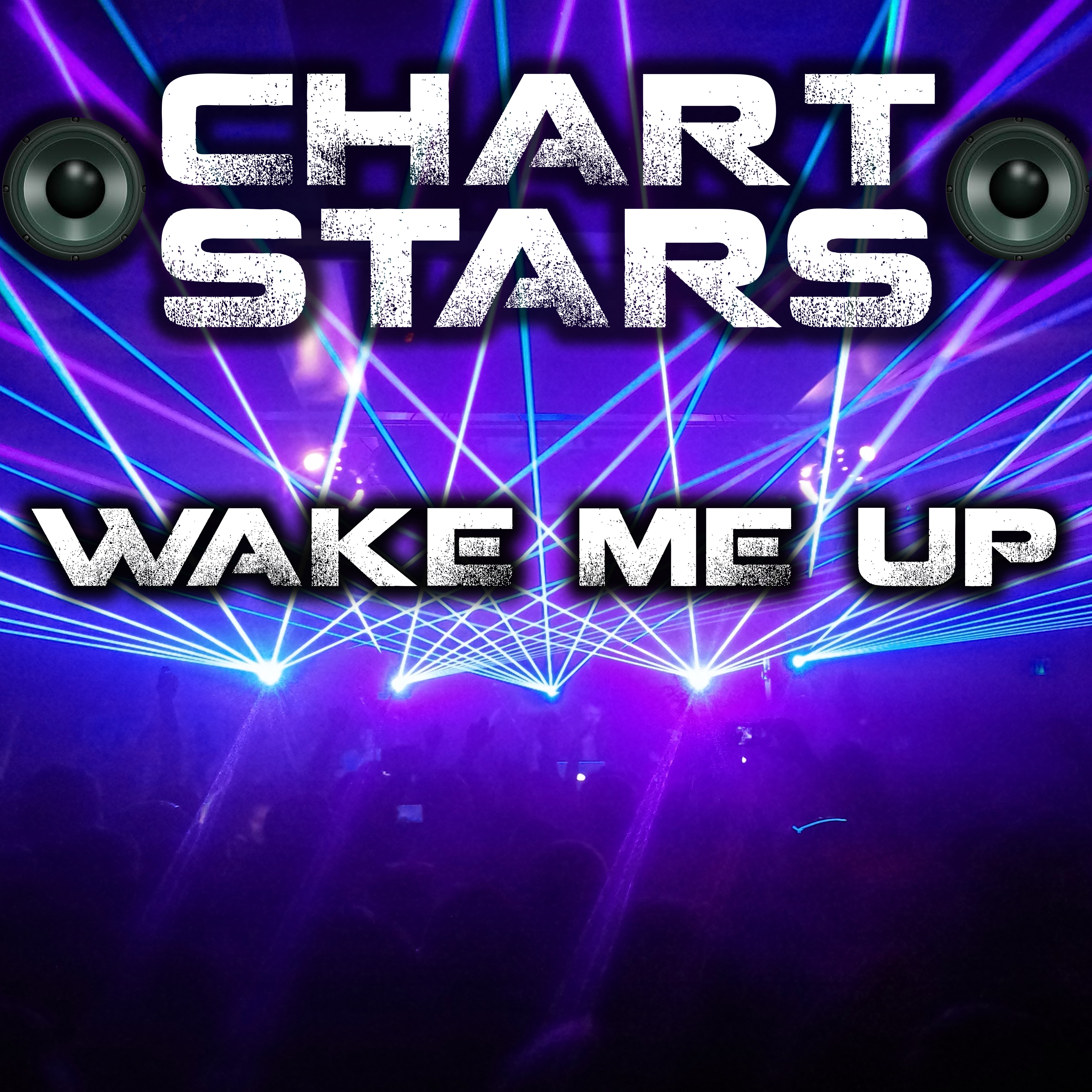 Wake Me Up (Originally Performed By Avicii & Aloe Blacc)