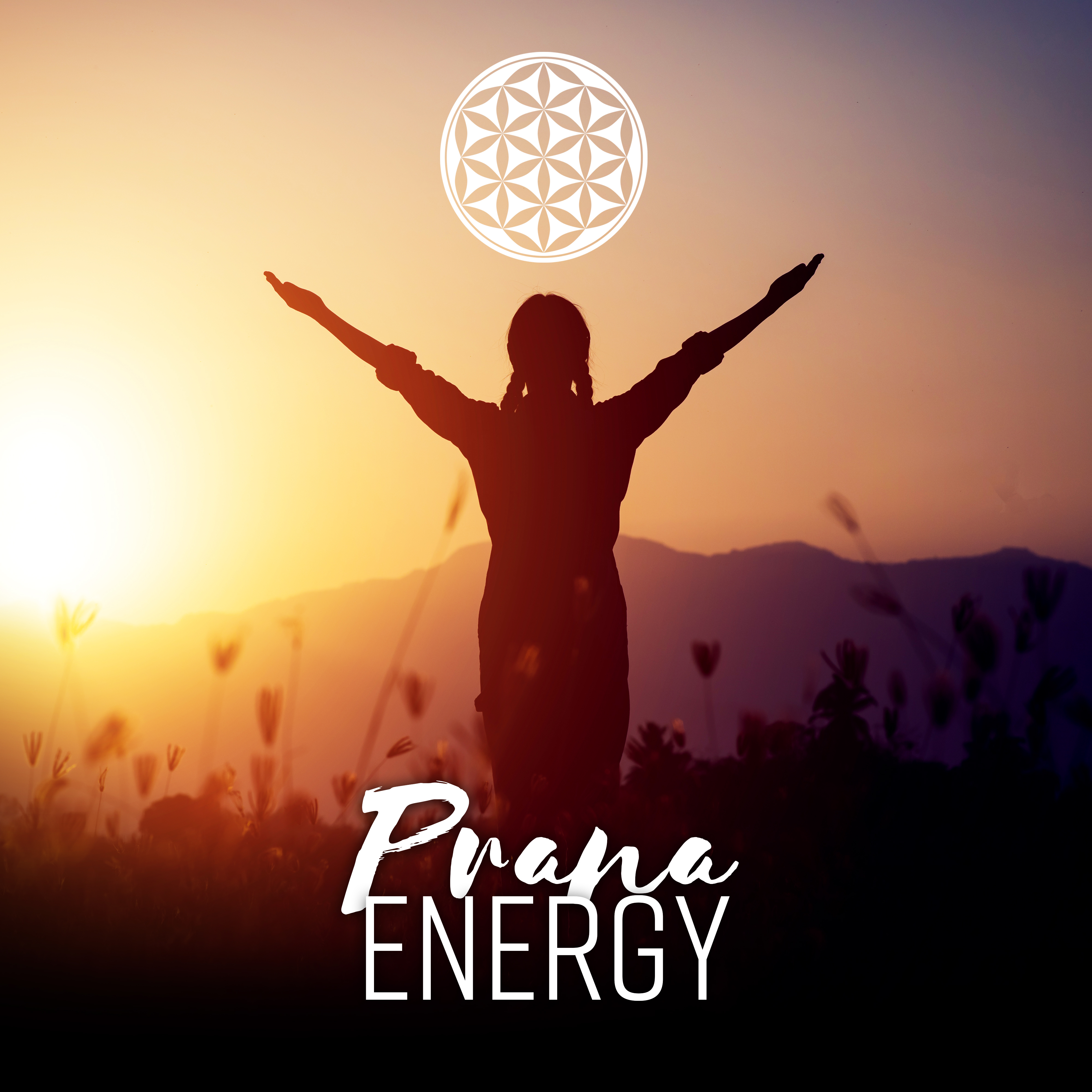 Prana Energy