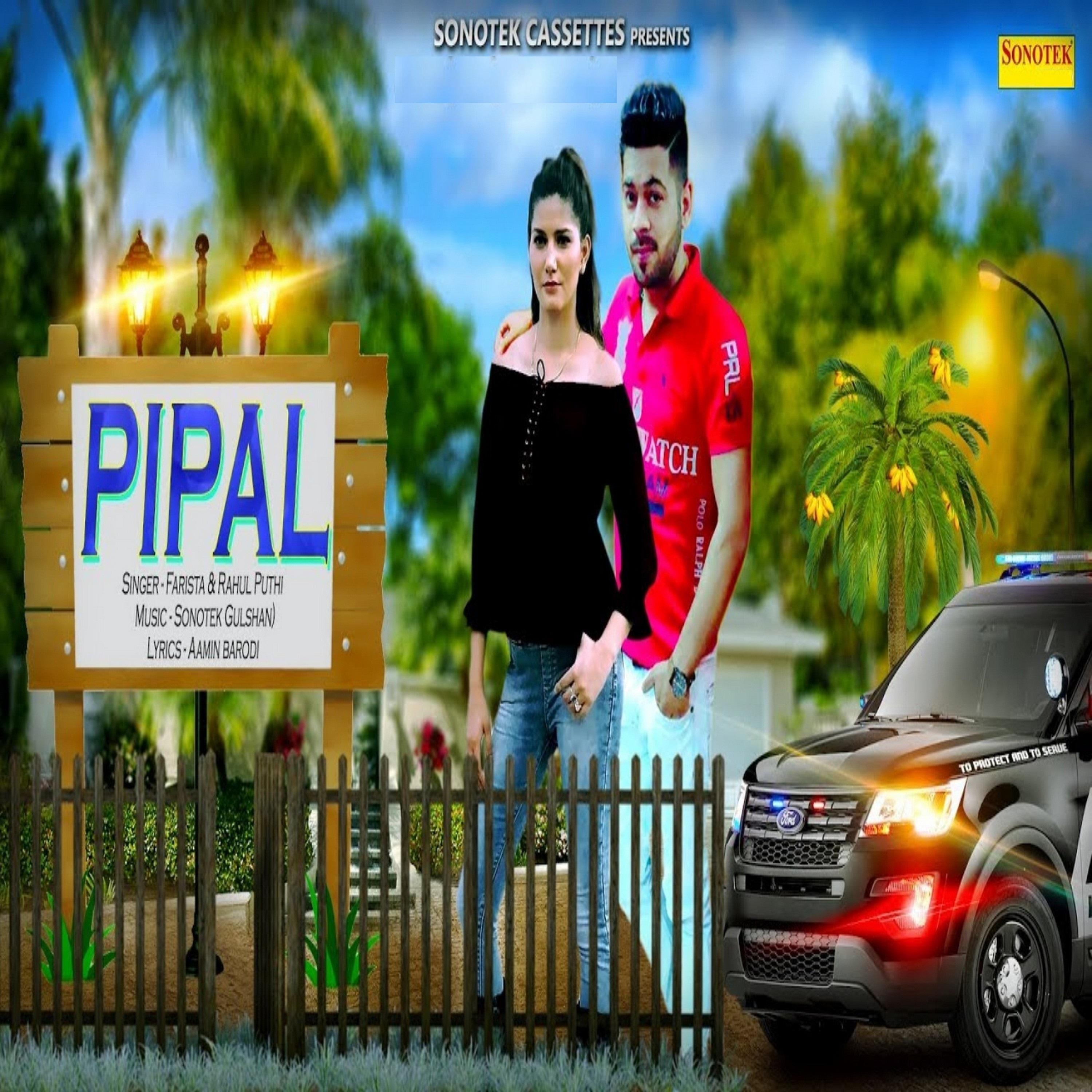 Pipal - Single