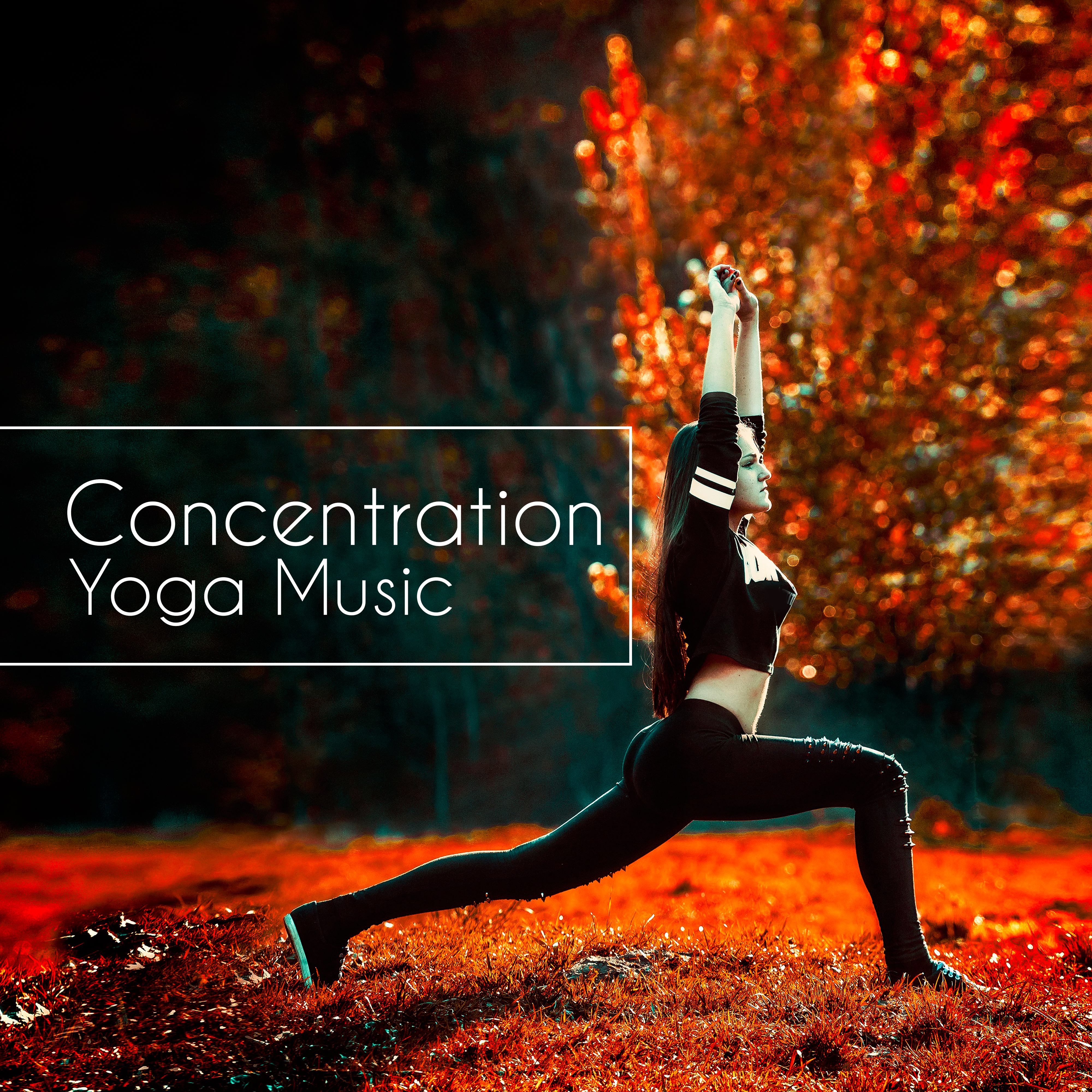 Concentration Yoga Music