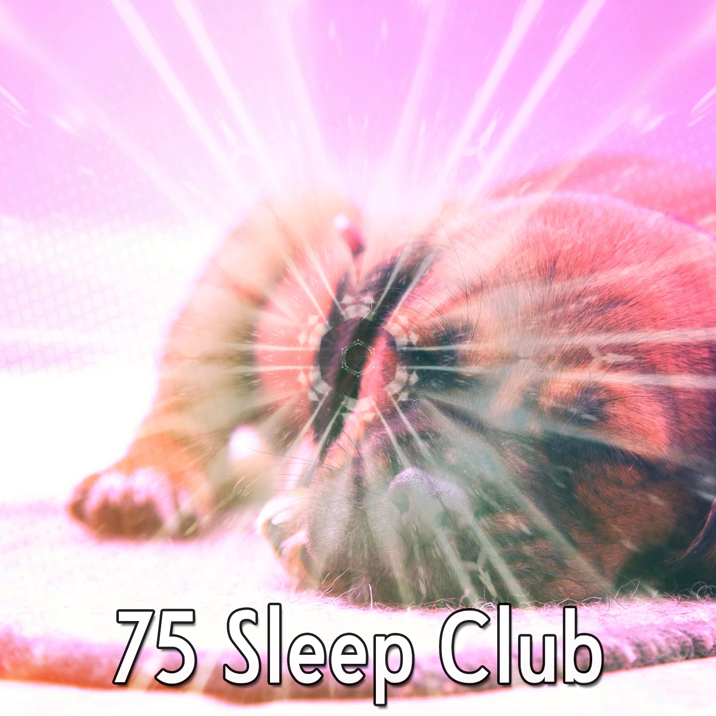 75 Sleep Club