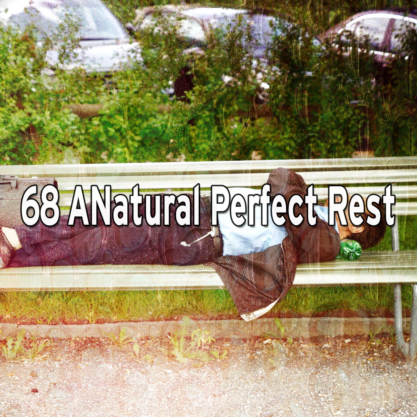 68 ANatural Perfect Rest