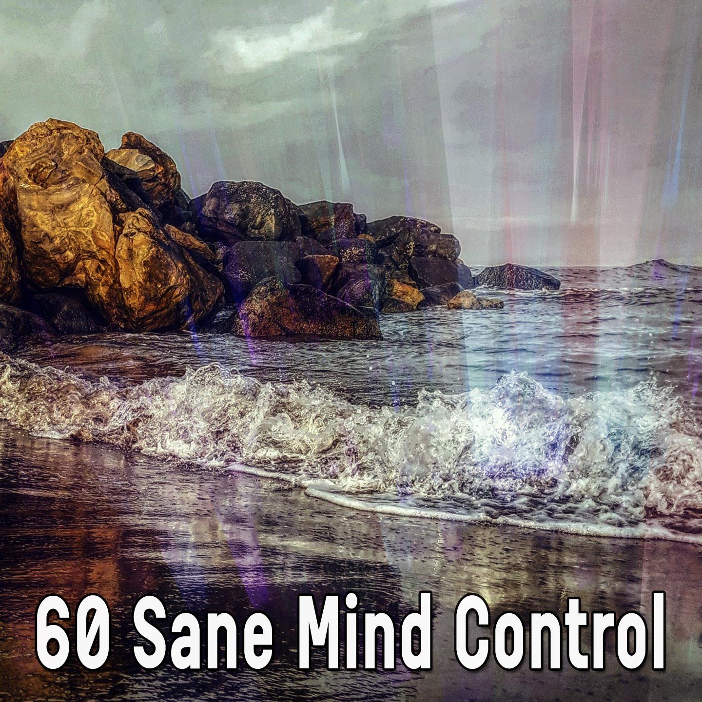 60 Sane Mind Control