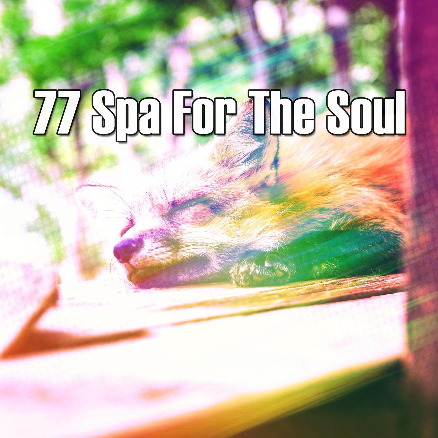77 Spa For The Soul