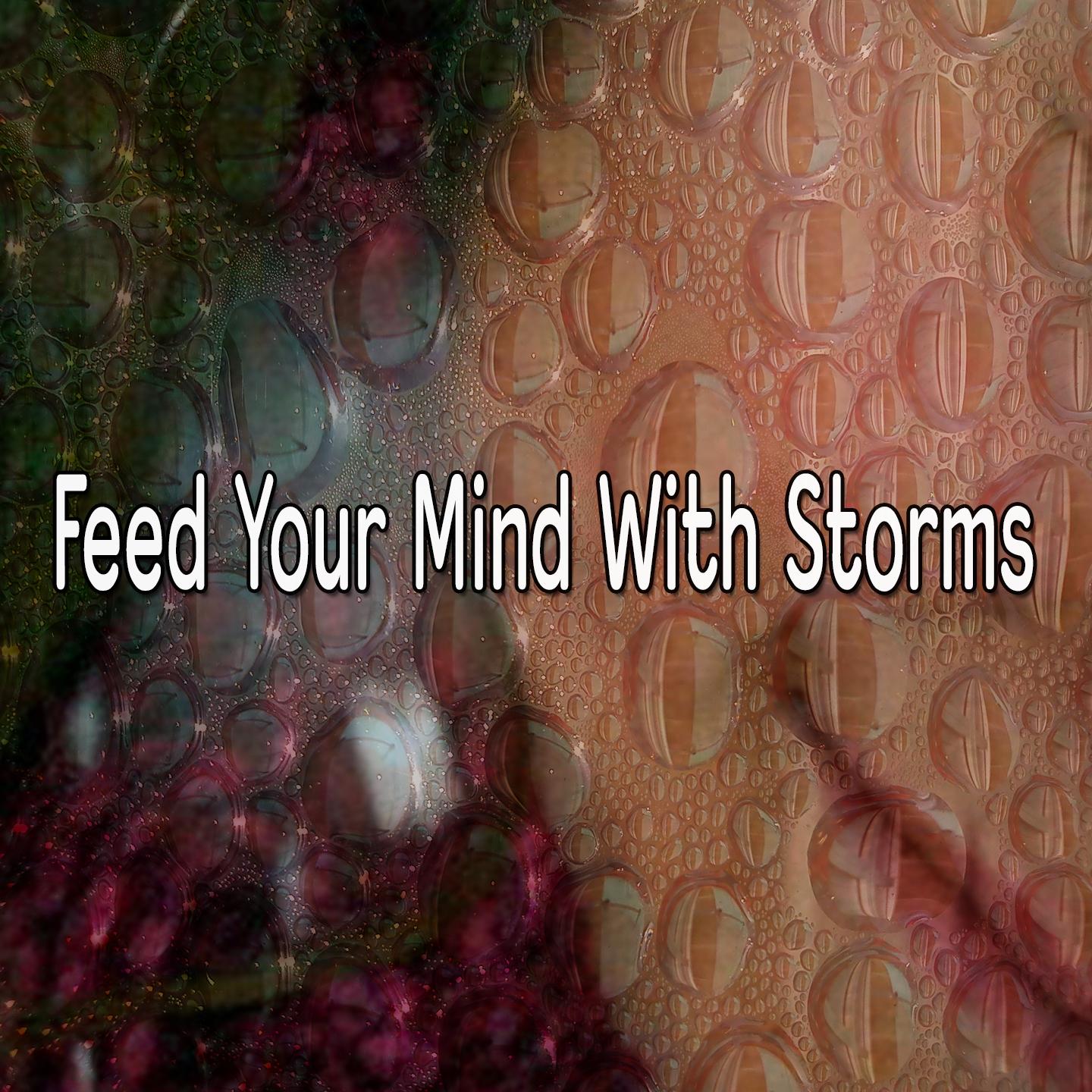 Feed Your Mind With Storms