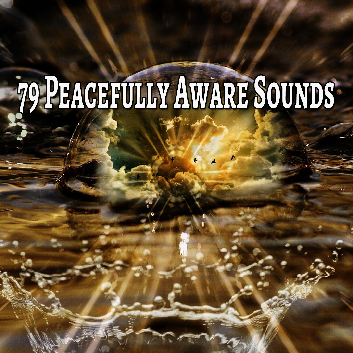 79 Peacefully Aware Sounds
