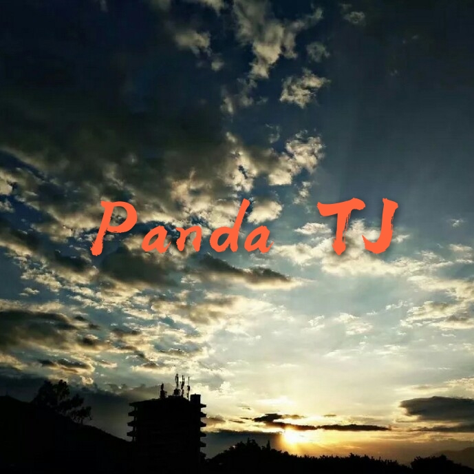 Panda TJ-攀大土建