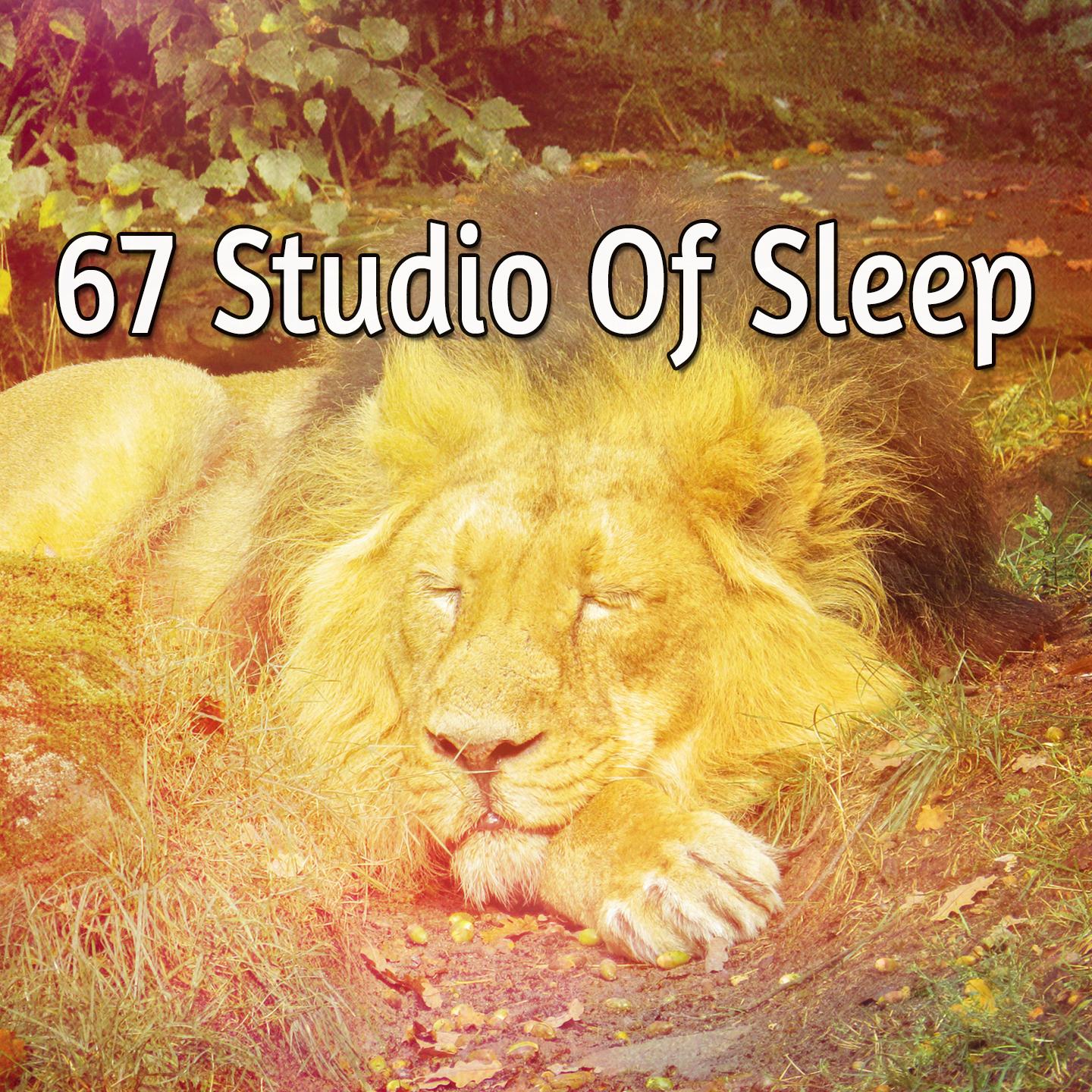67 Studio Of Sleep