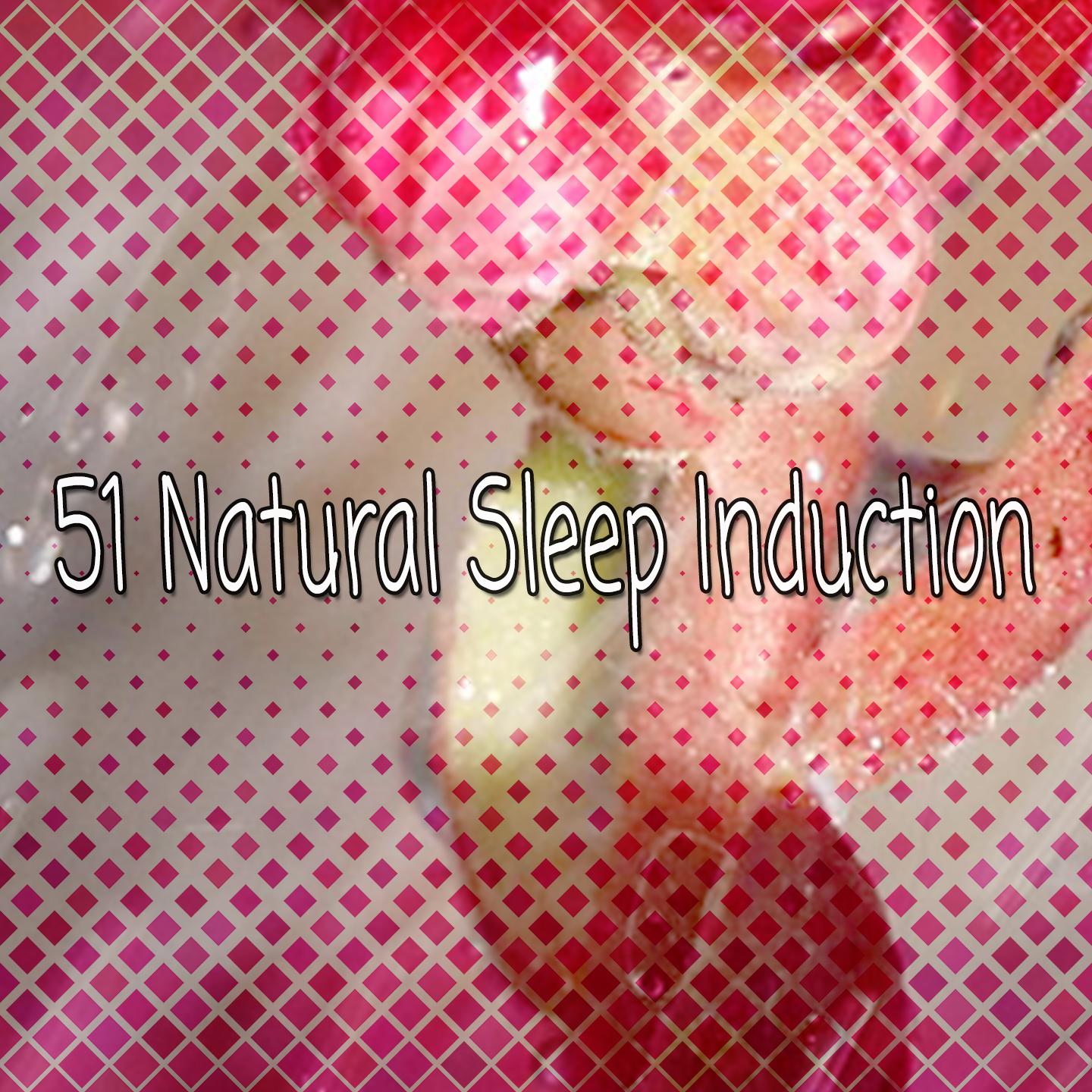 51 Natural Sleep Induction