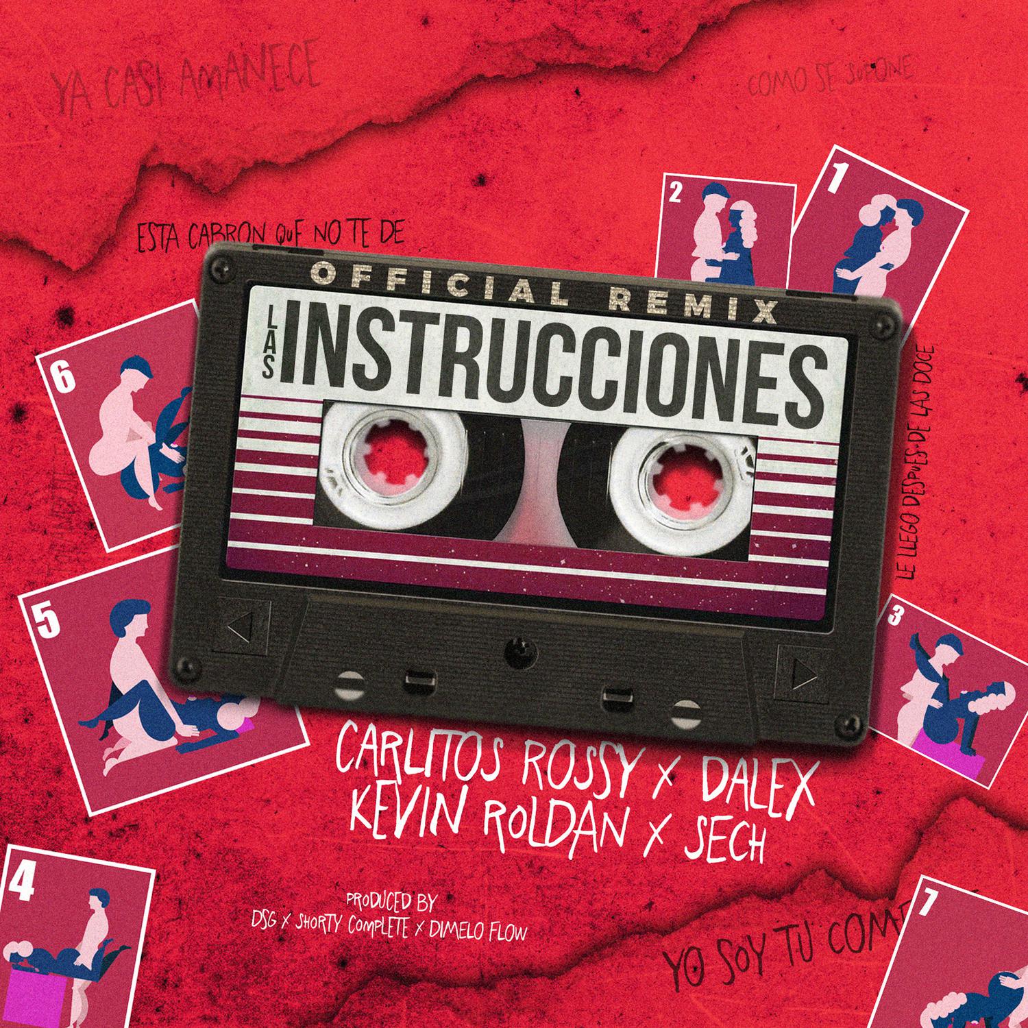 Las Instrucciones (Remix)