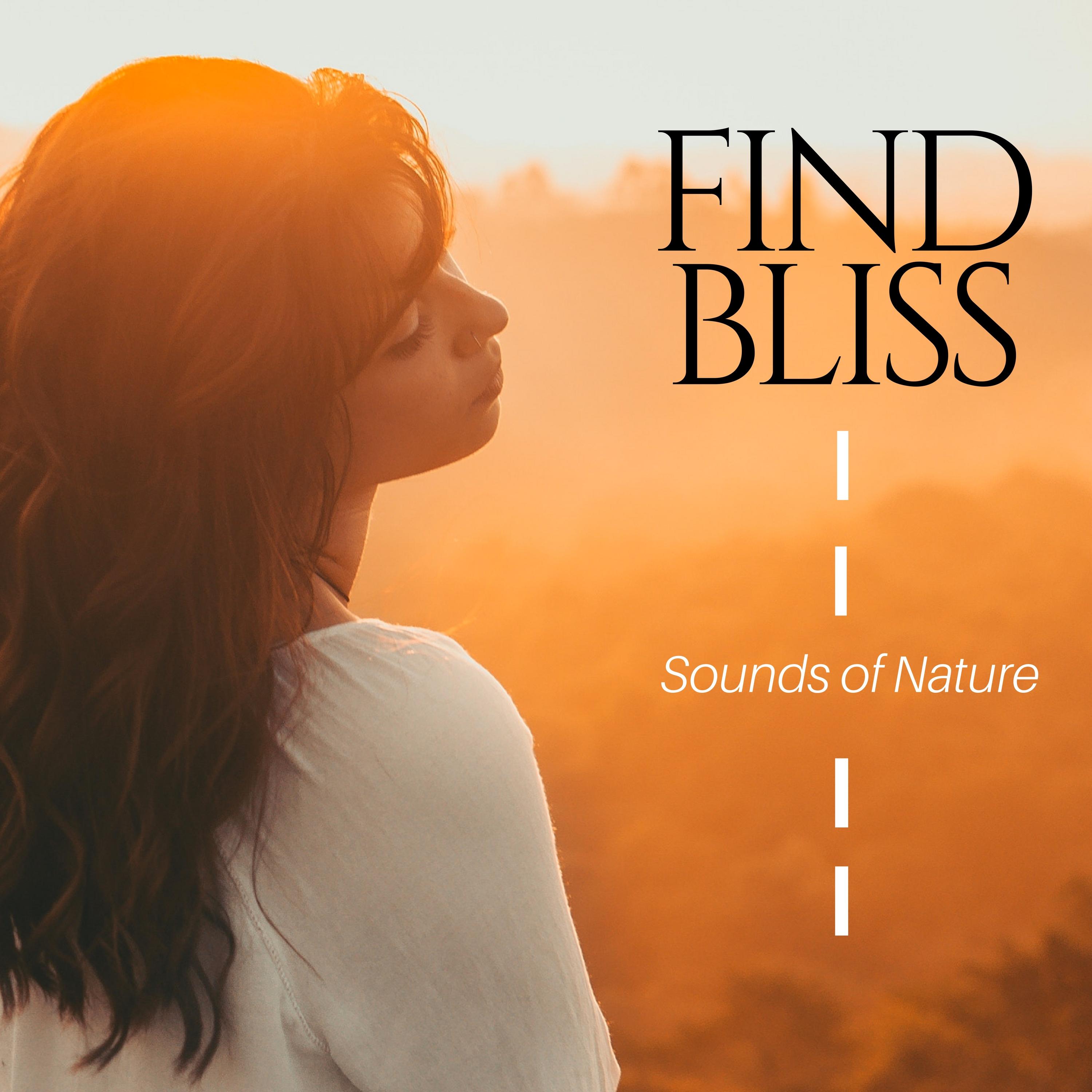 Find Bliss