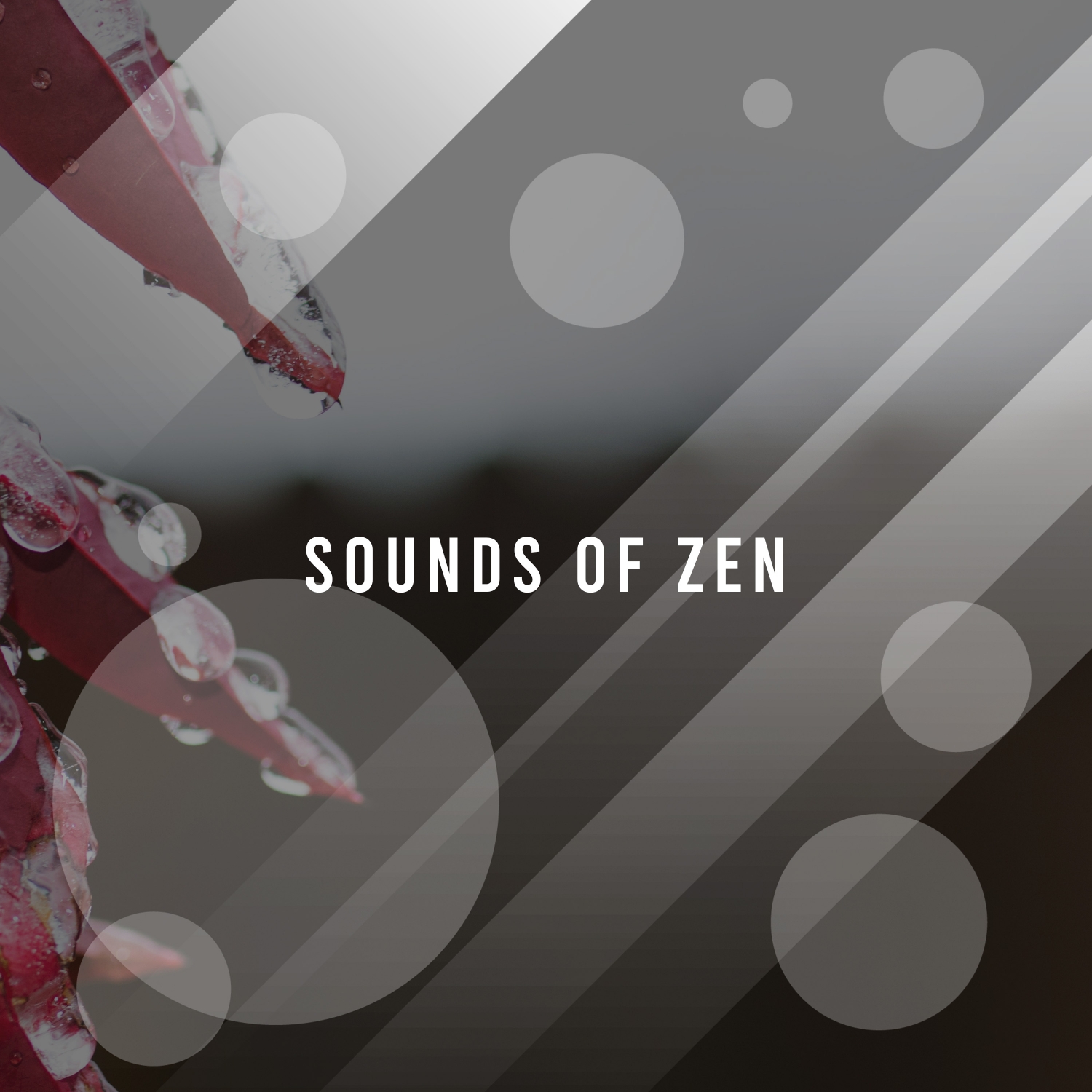 14 Sounds of Zen - Relaxation Meditation Music
