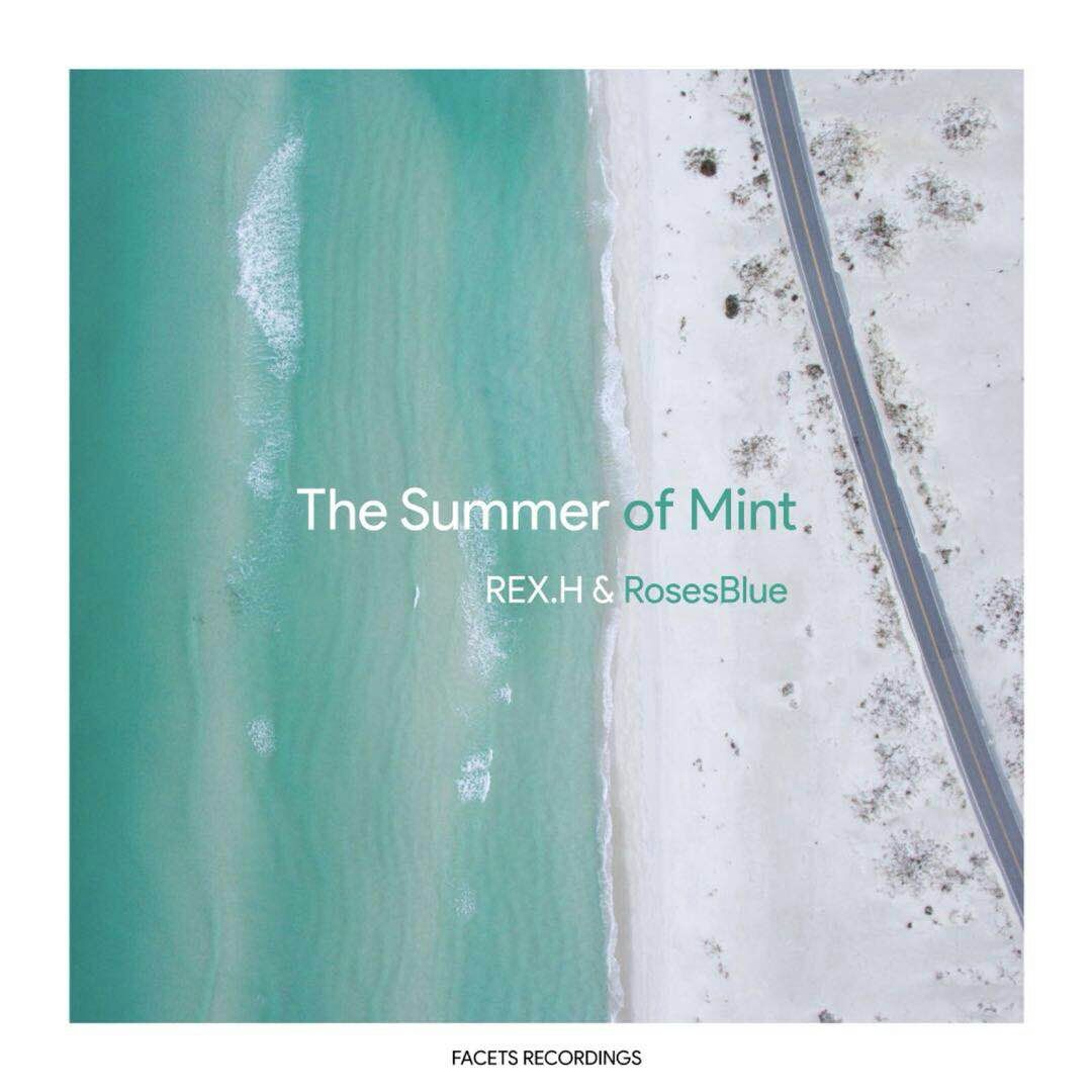 The summer of mint(Orignal Mix)