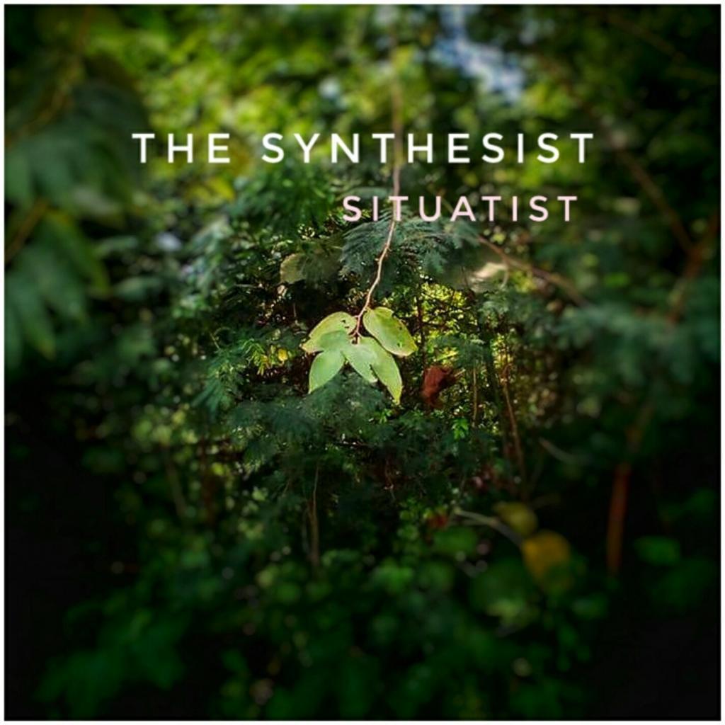 The Synthesist