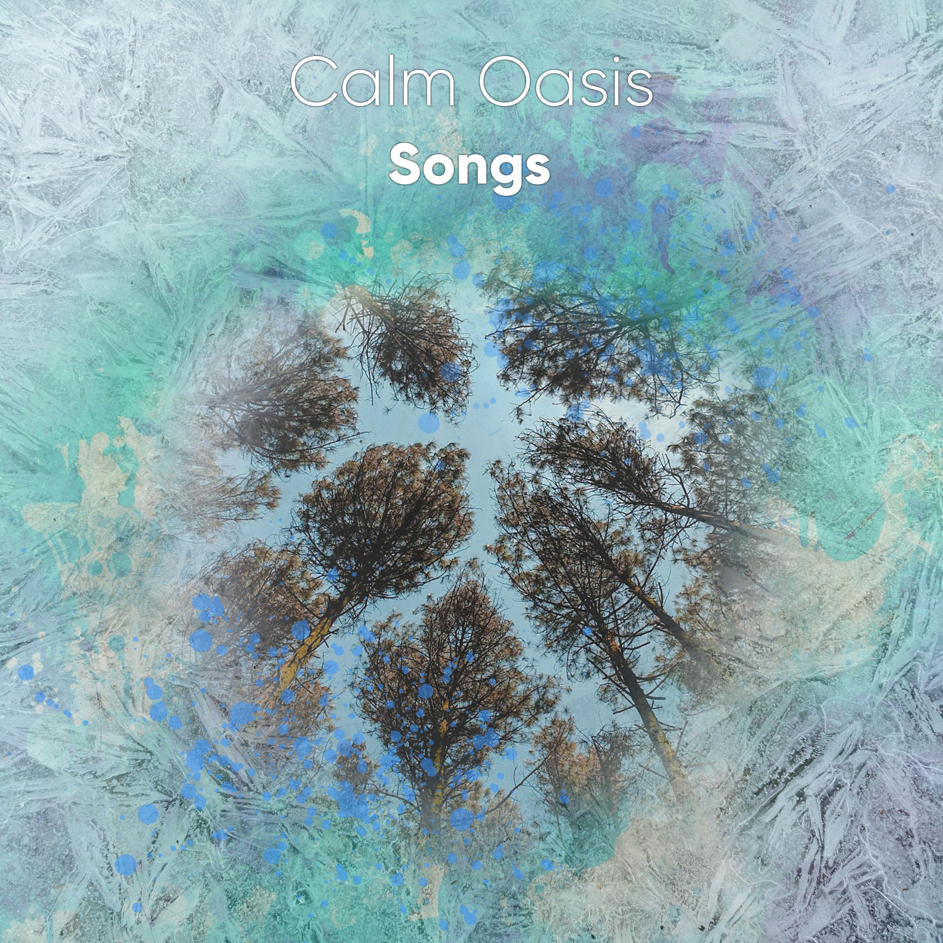 #12 Calm Oasis Songs to Aid Calm and Relaxation