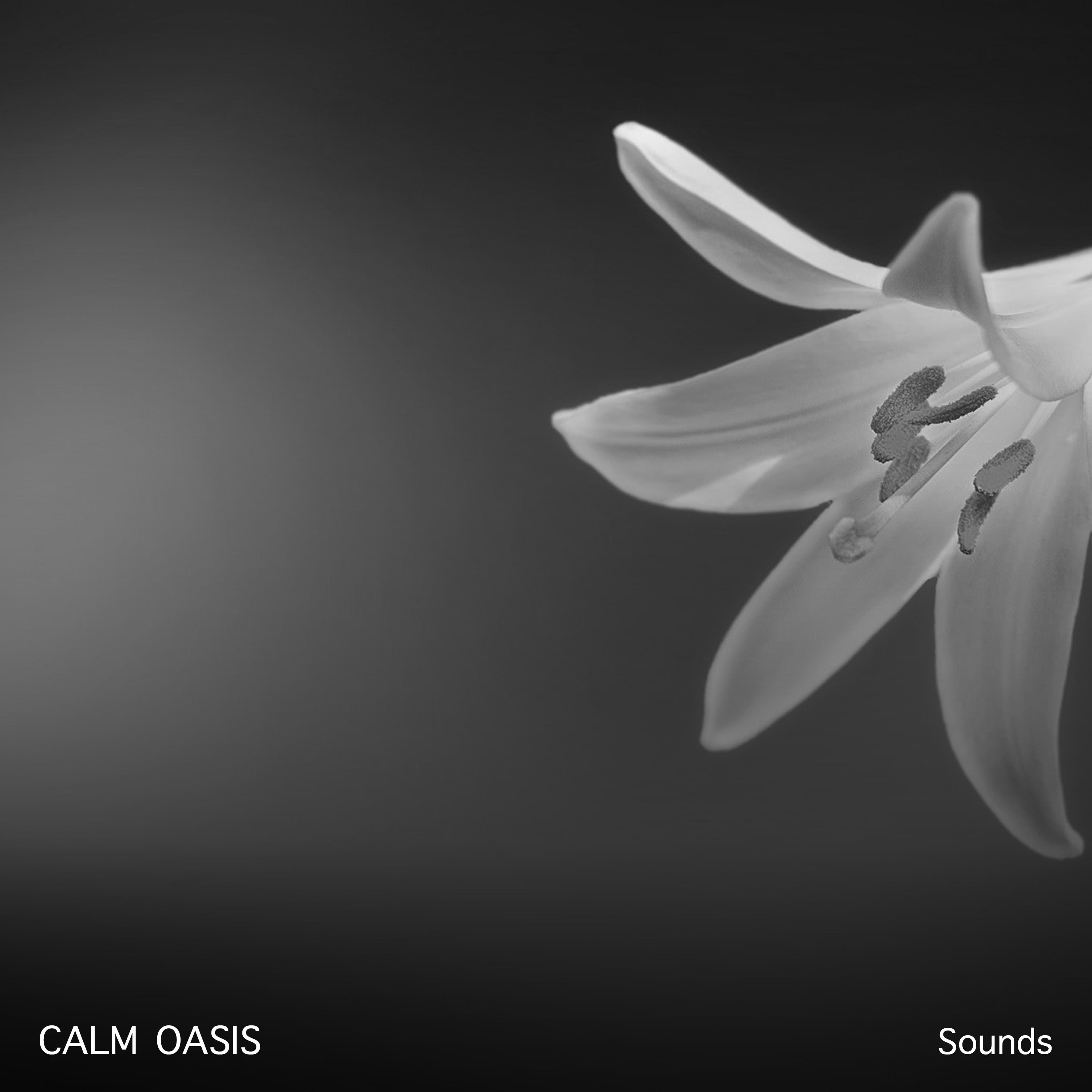 #18 Calm Oasis Sounds for Relaxation Therapy