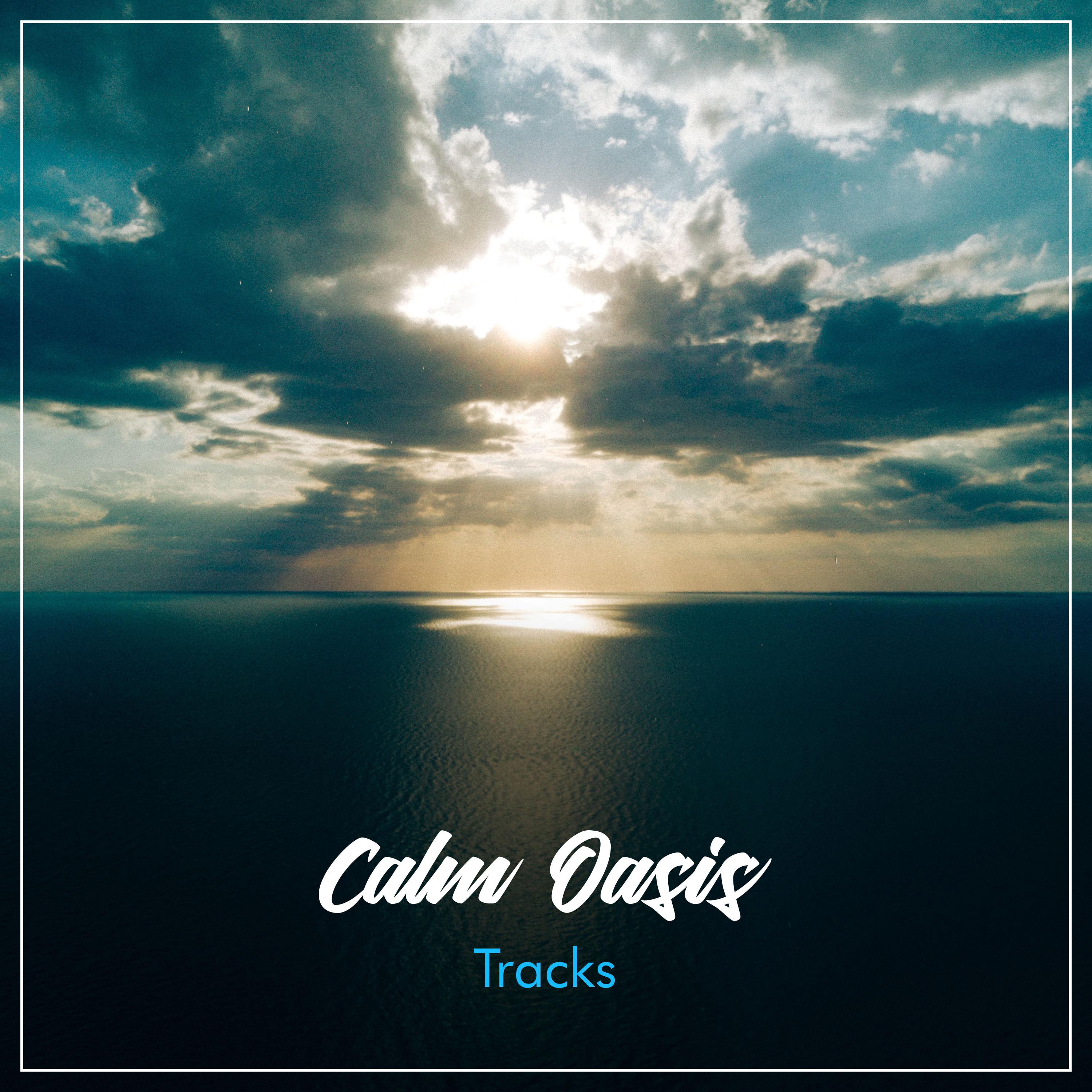 #13 Calm Oasis Tracks to Provide Focus