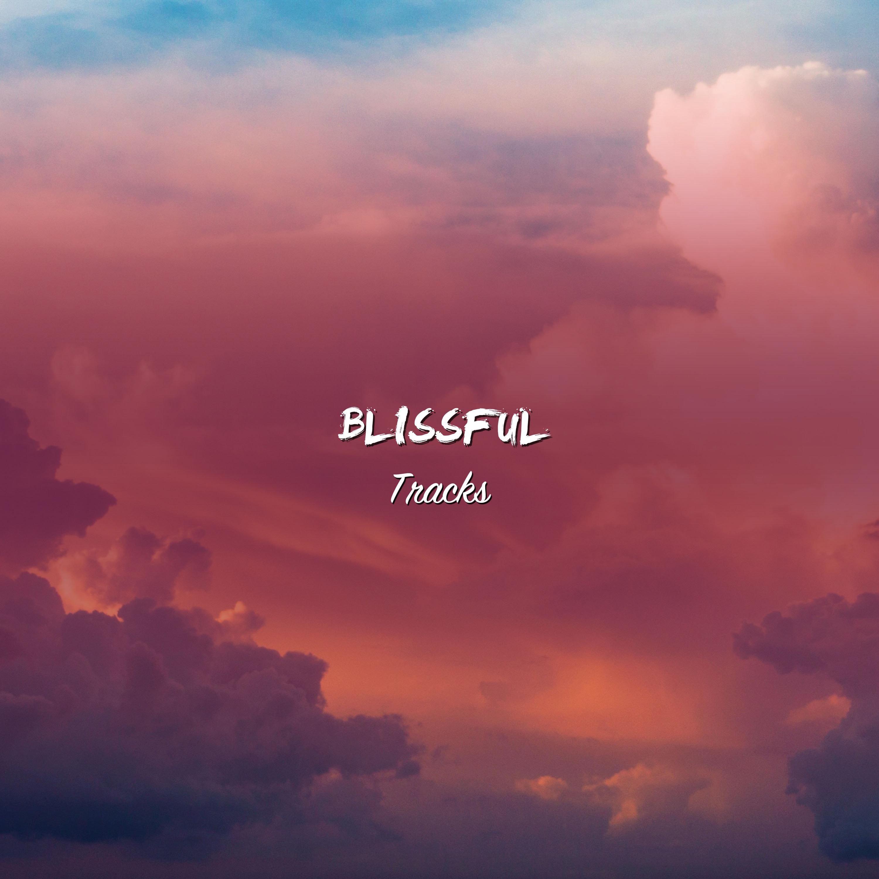 #14 Blissful Tracks to Clear your Mind