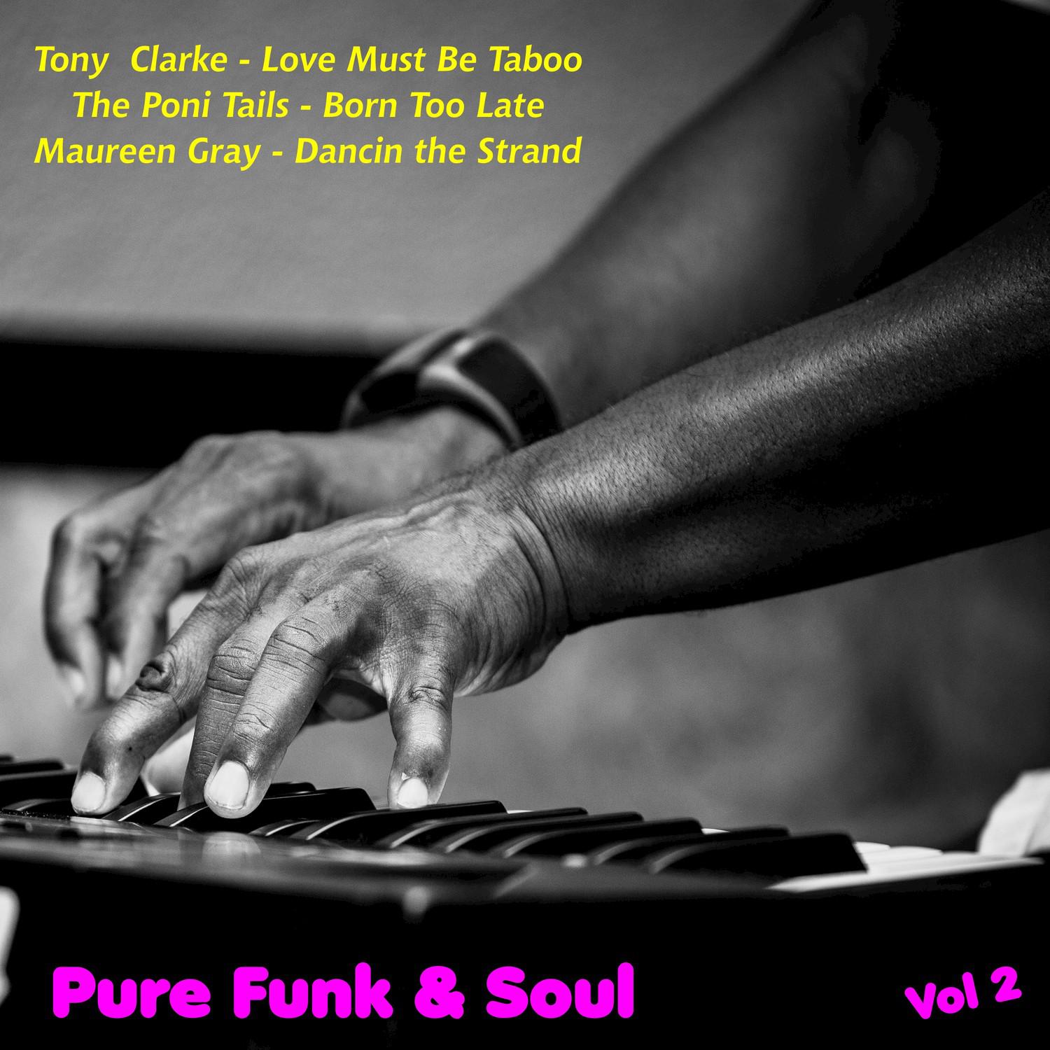 Pure Funk & Soul, Vol. 2