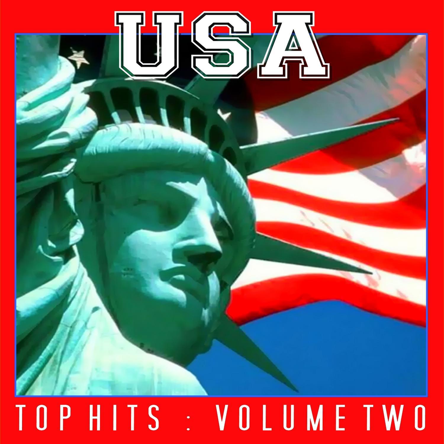 USA Top Hits Vol 2