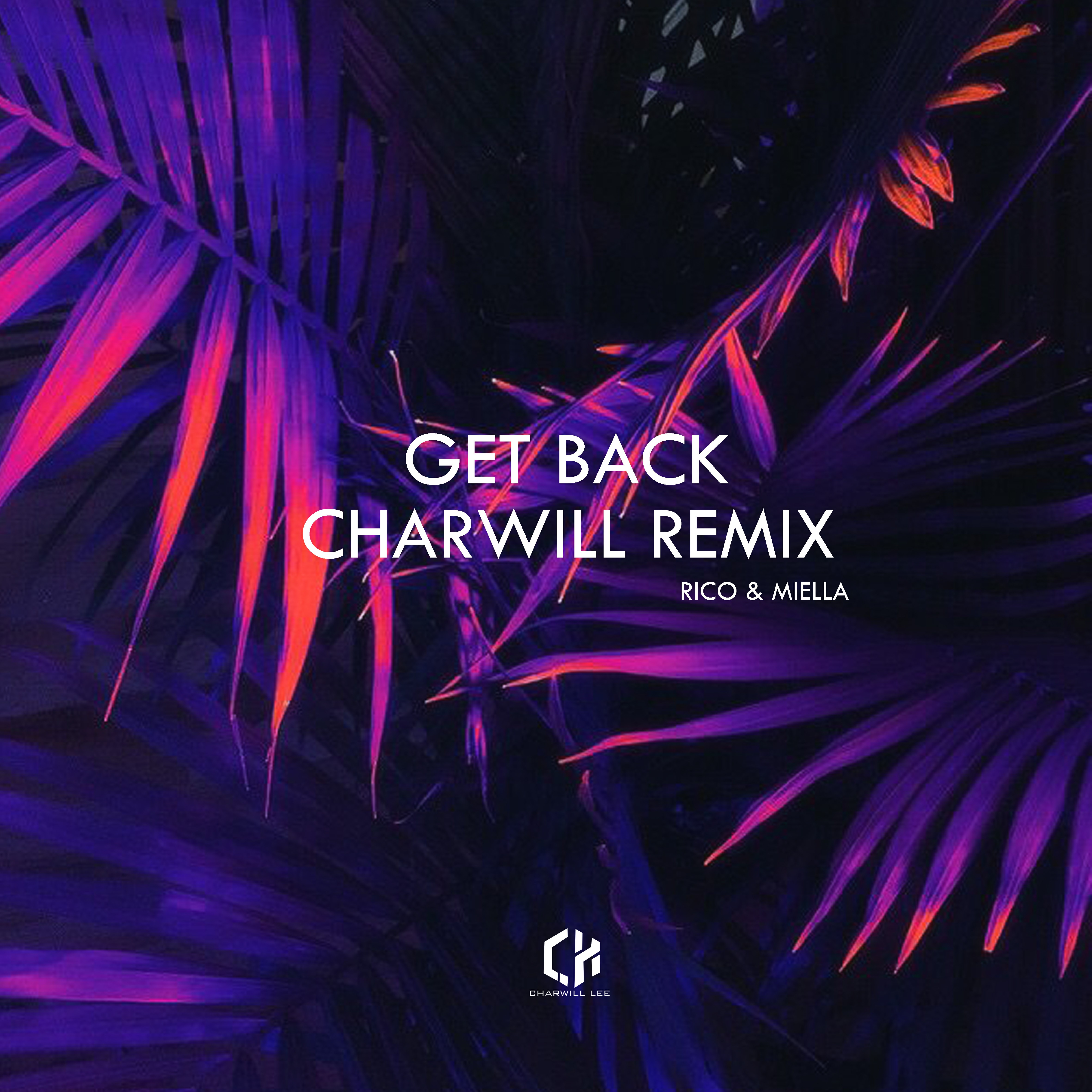 Get Back(Charwill Remix)