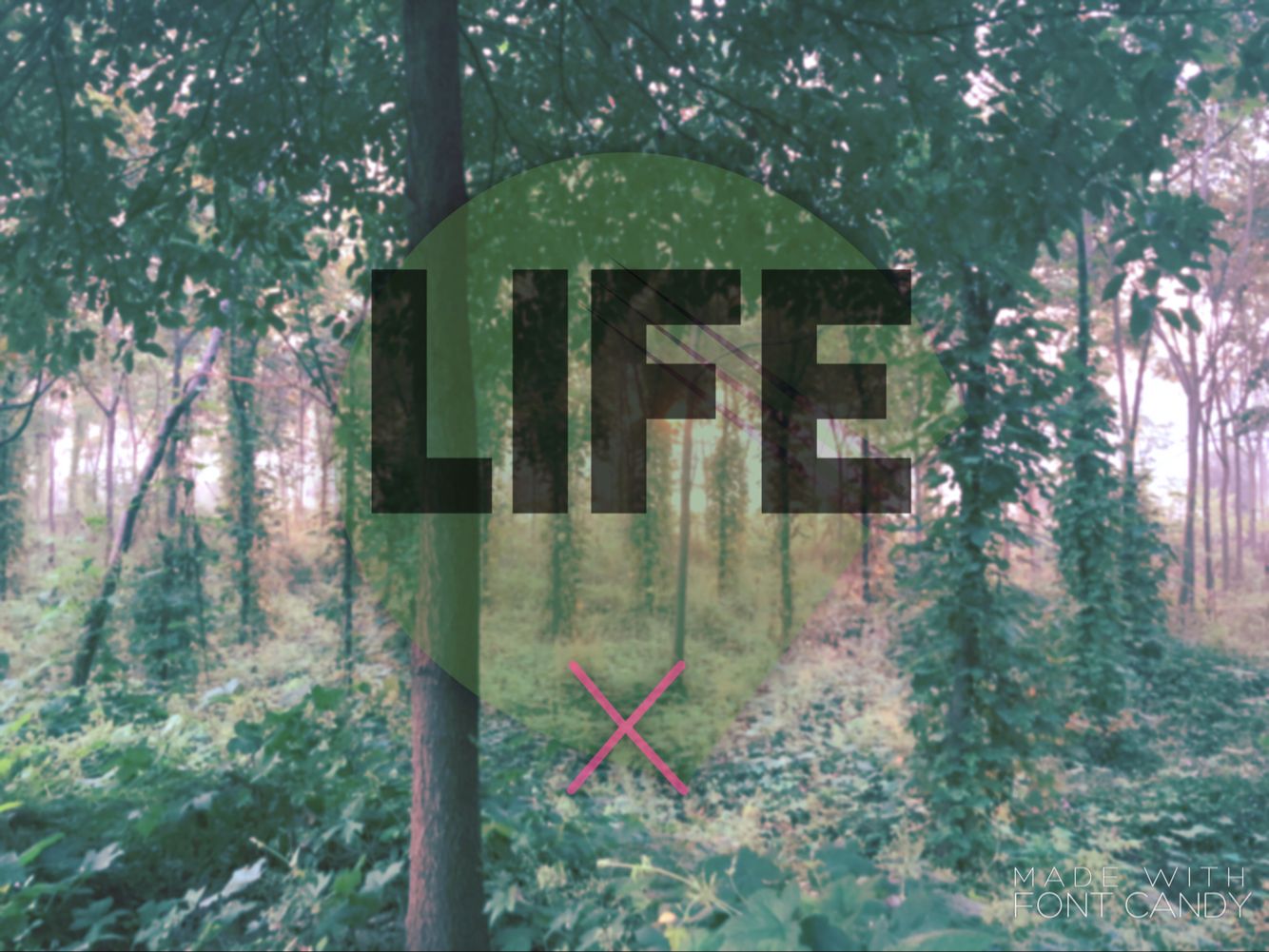 Life（VIP Remix）