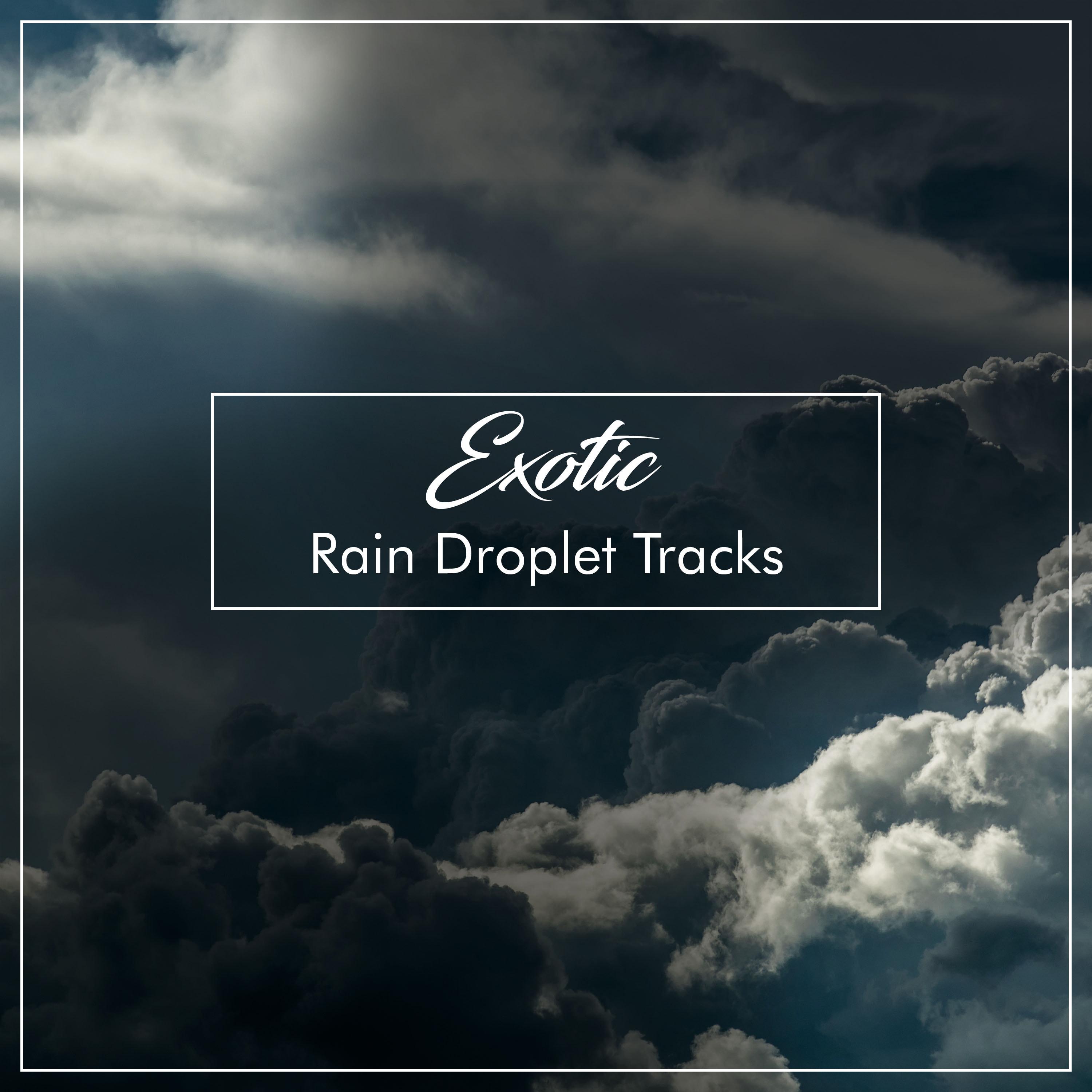 #16 Exotic Rain Droplet Tracks