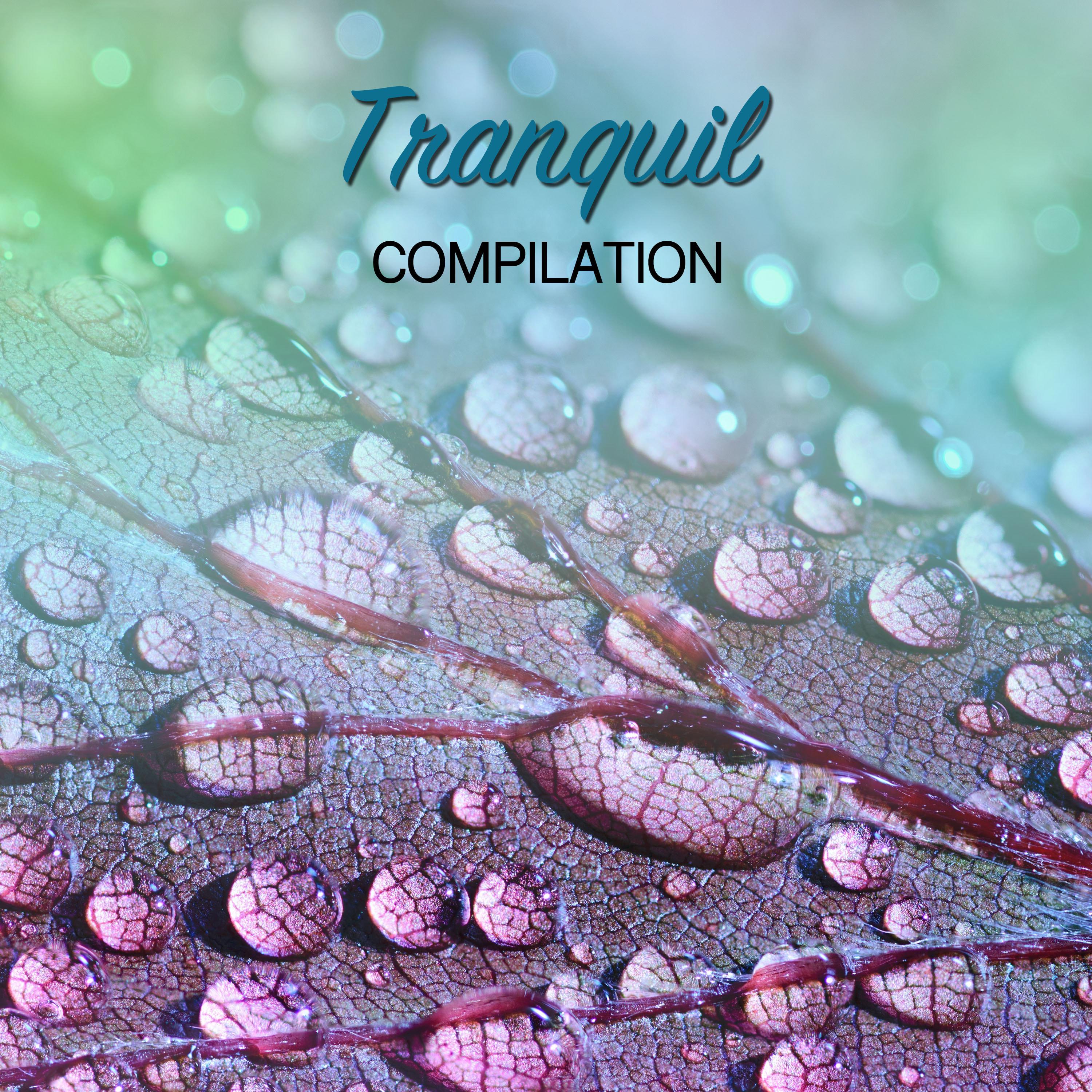 #16 Tranquil Compilation for Asian Spa, Meditation & Yoga