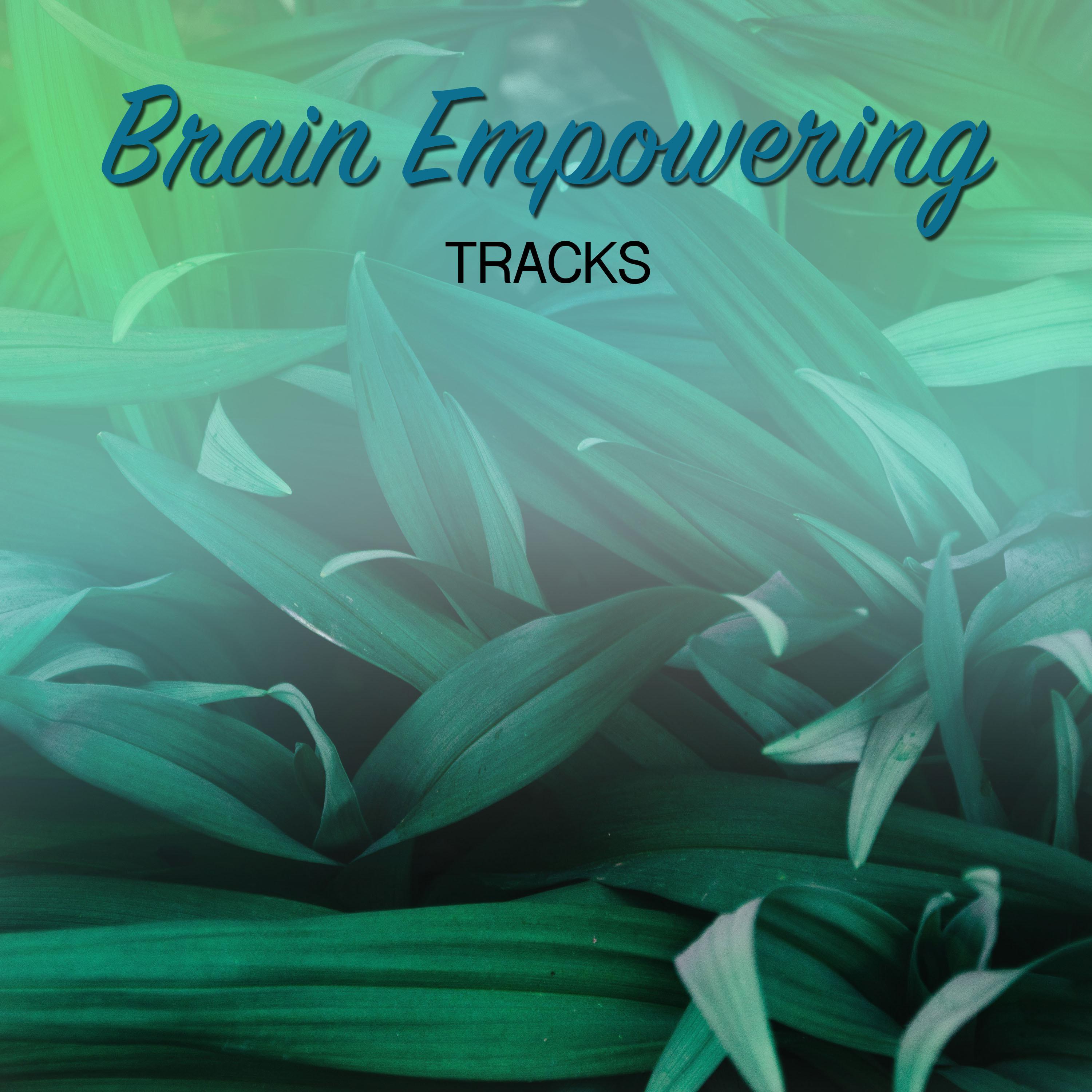 #11 Brain Empowering Tracks for Sleep