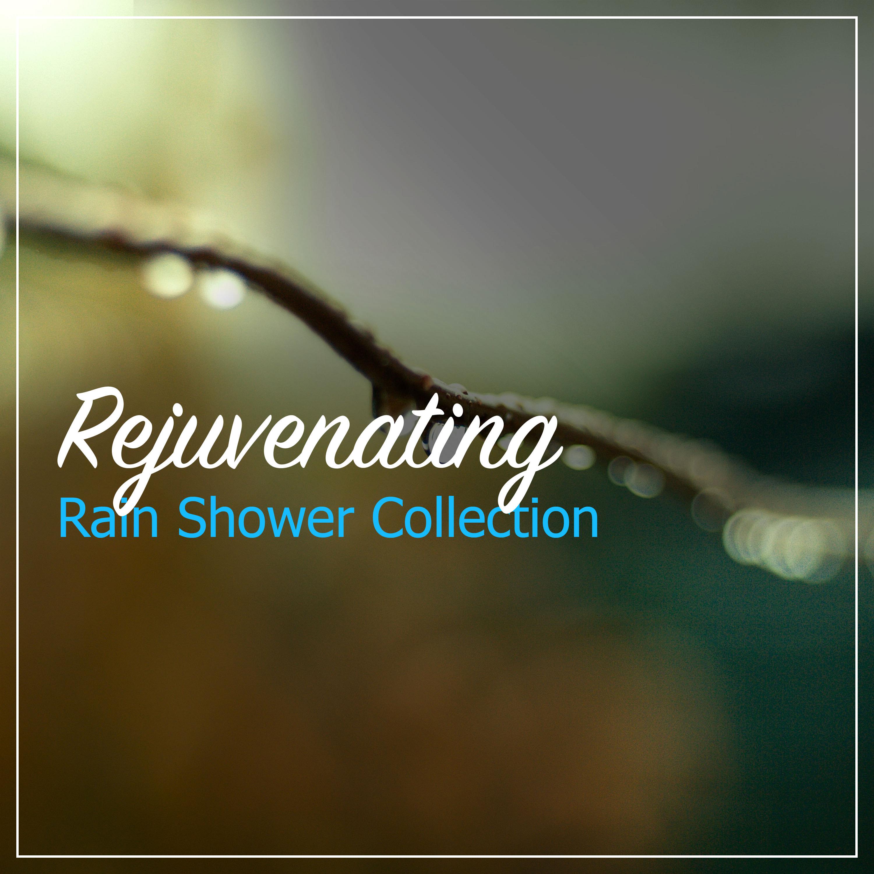 #12 Rejuvenating Rain Shower Collection
