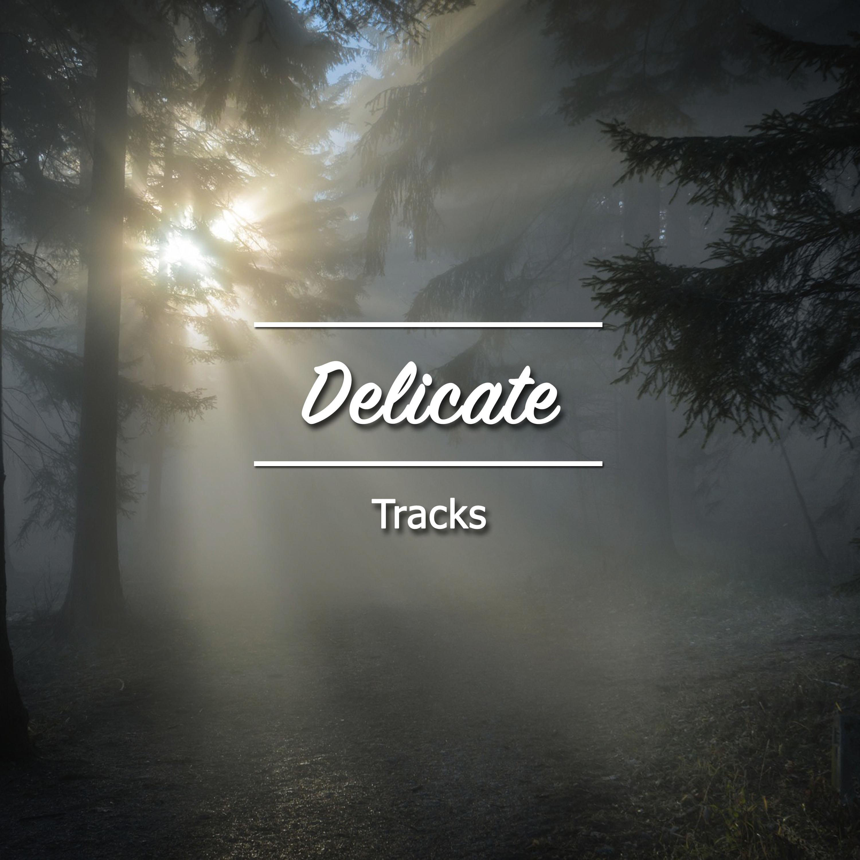 #11 Delicate Tracks for Deep Sleep Relaxation