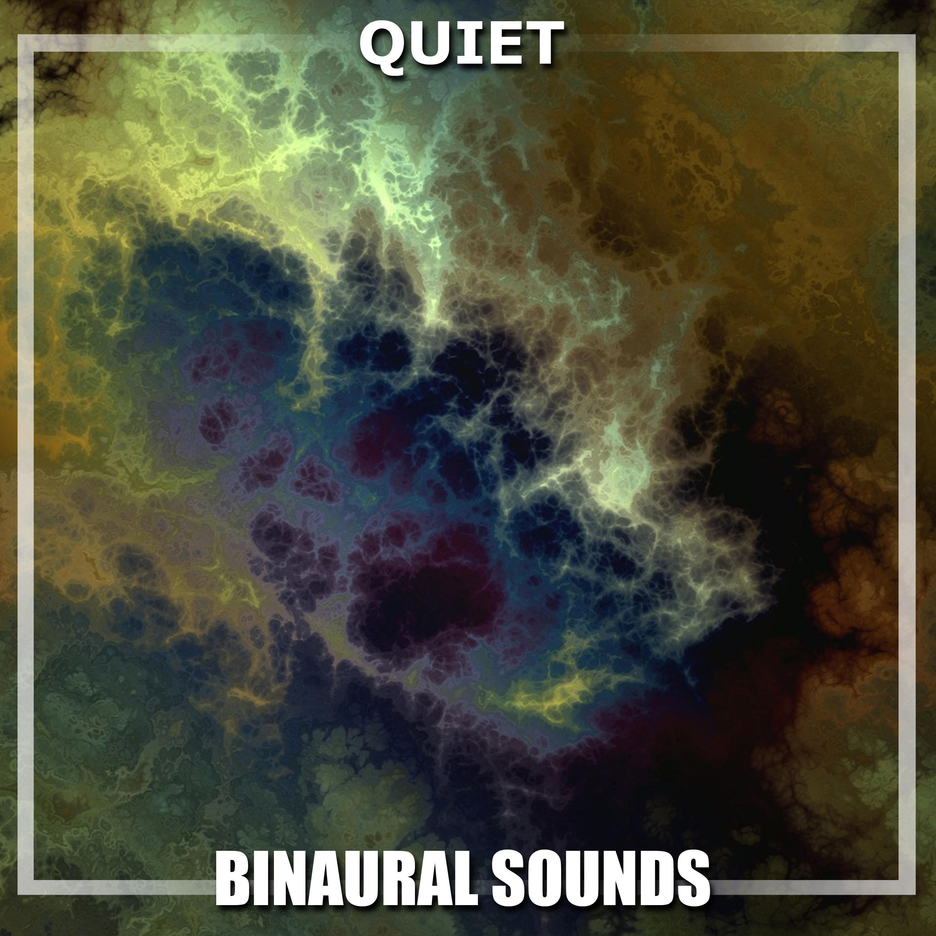 #16 Quiet Binaural Sounds