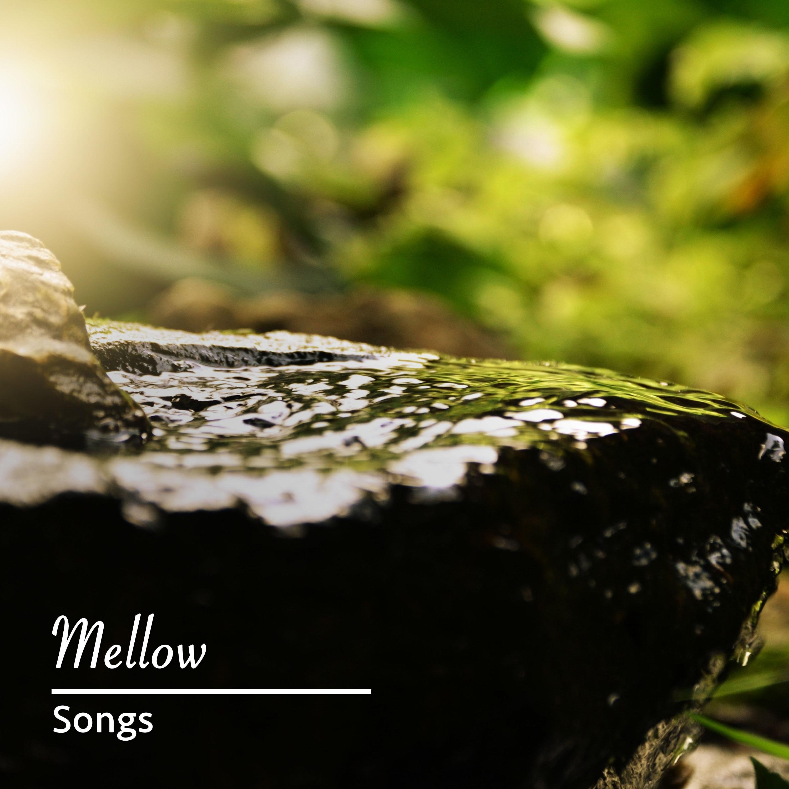 #1 Hour of Mellow Songs for Yoga