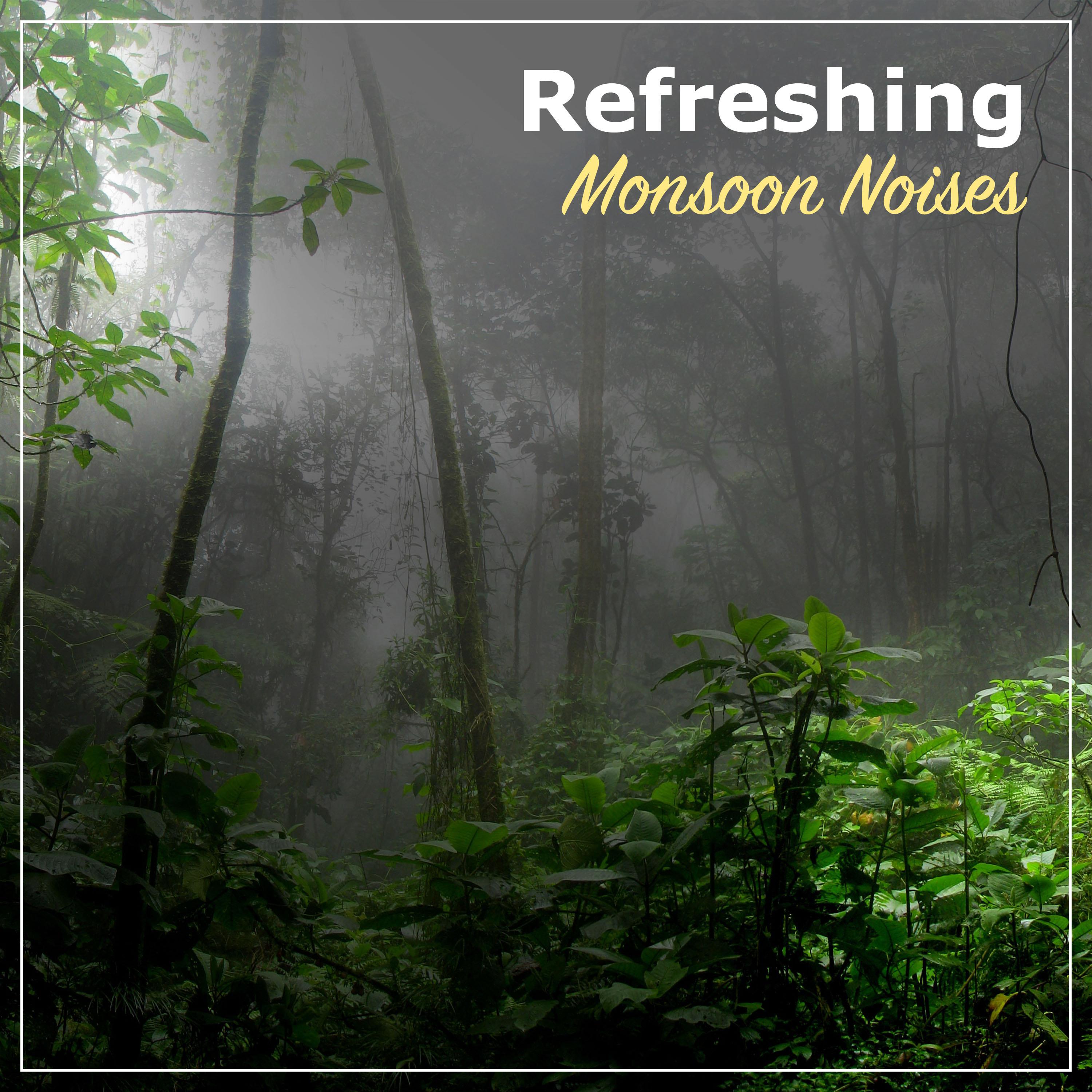 #10 Refreshing Monsoon Noises