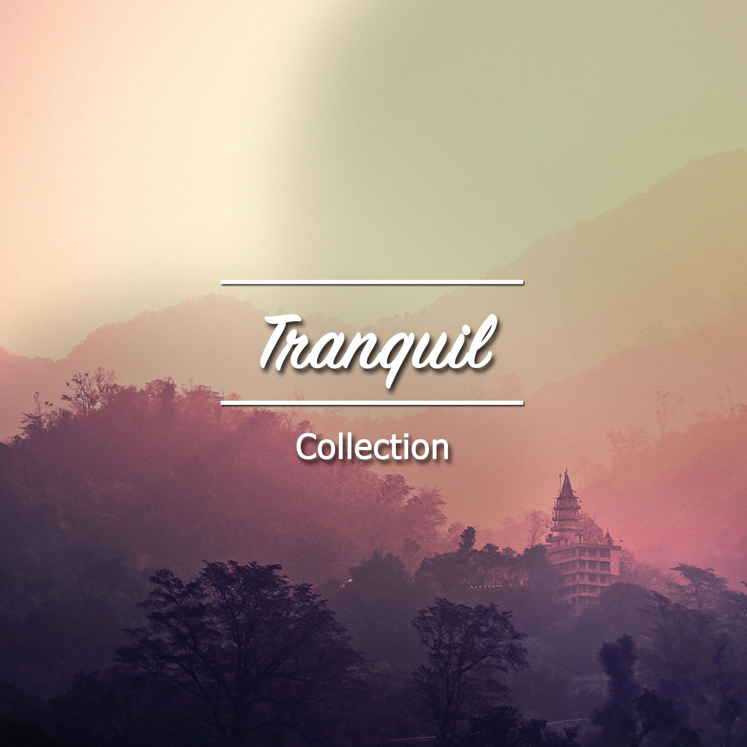 #22 Tranquil Collection for Sleep and Relaxation
