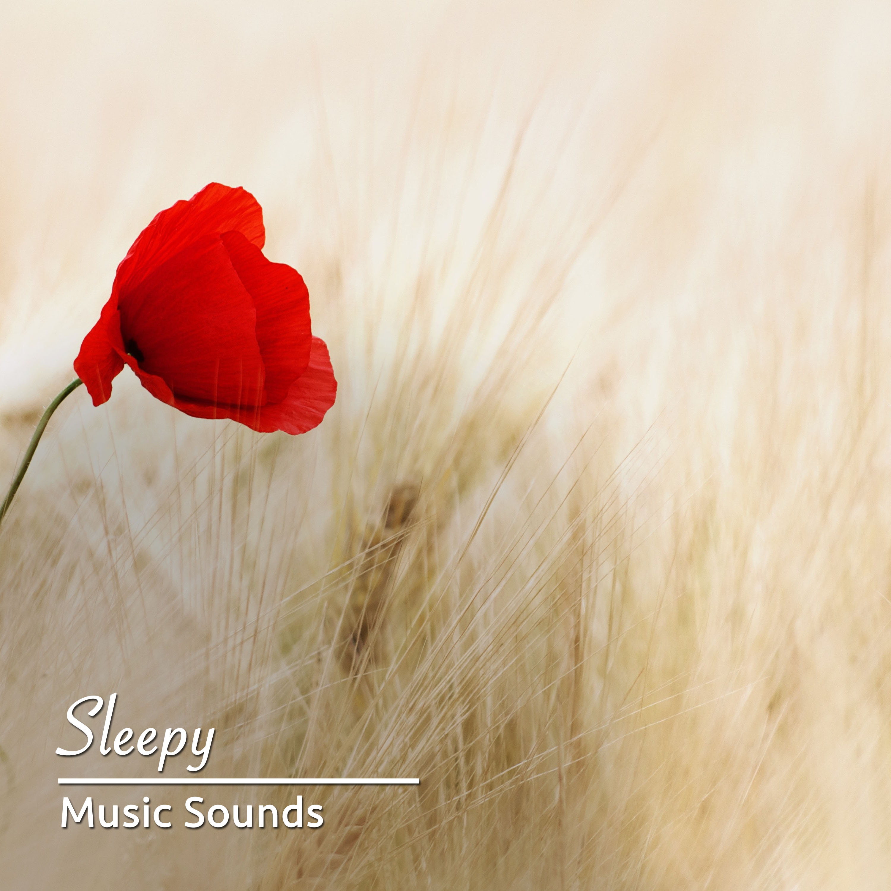 #20 Sleepy Music Sounds for Meditation, Spa and Relaxation