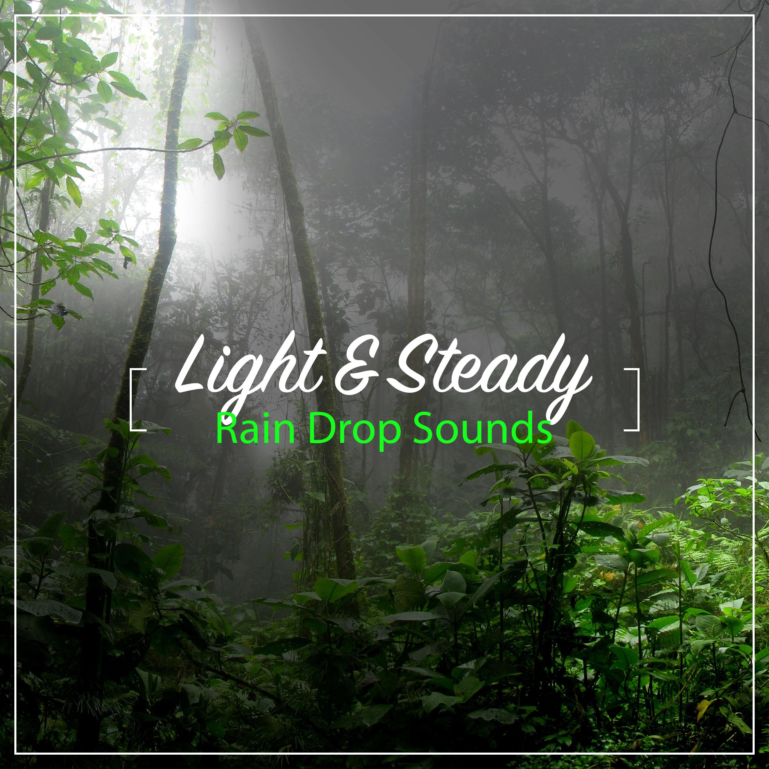 #10 Light and Steady Rain Drop Sounds for Relaxing with Nature