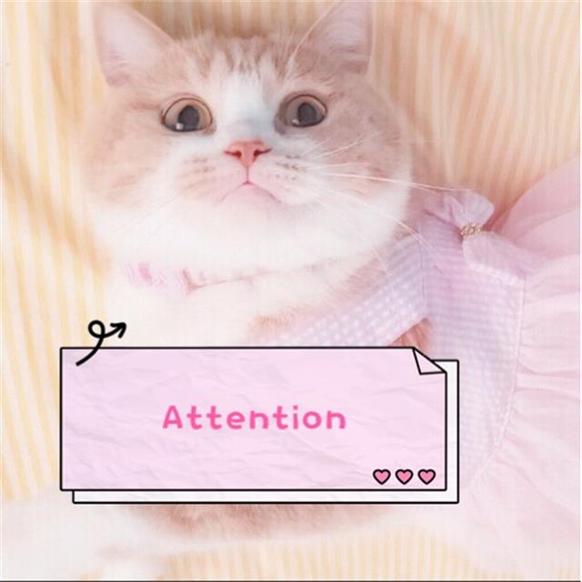 Attention