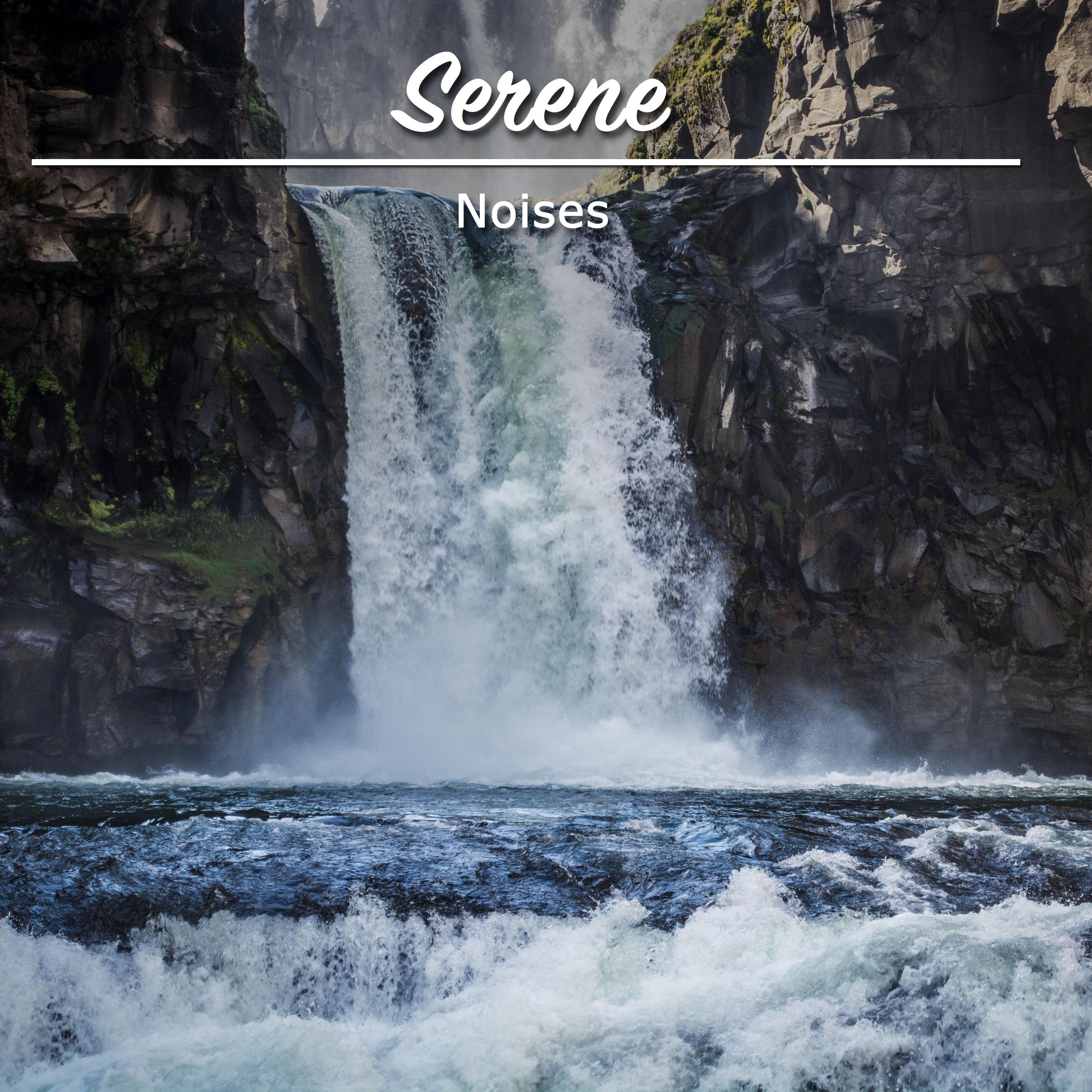 #16 Serene Noises