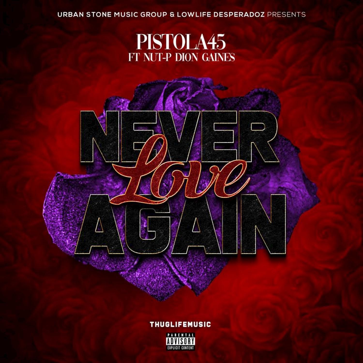 Never Love Again