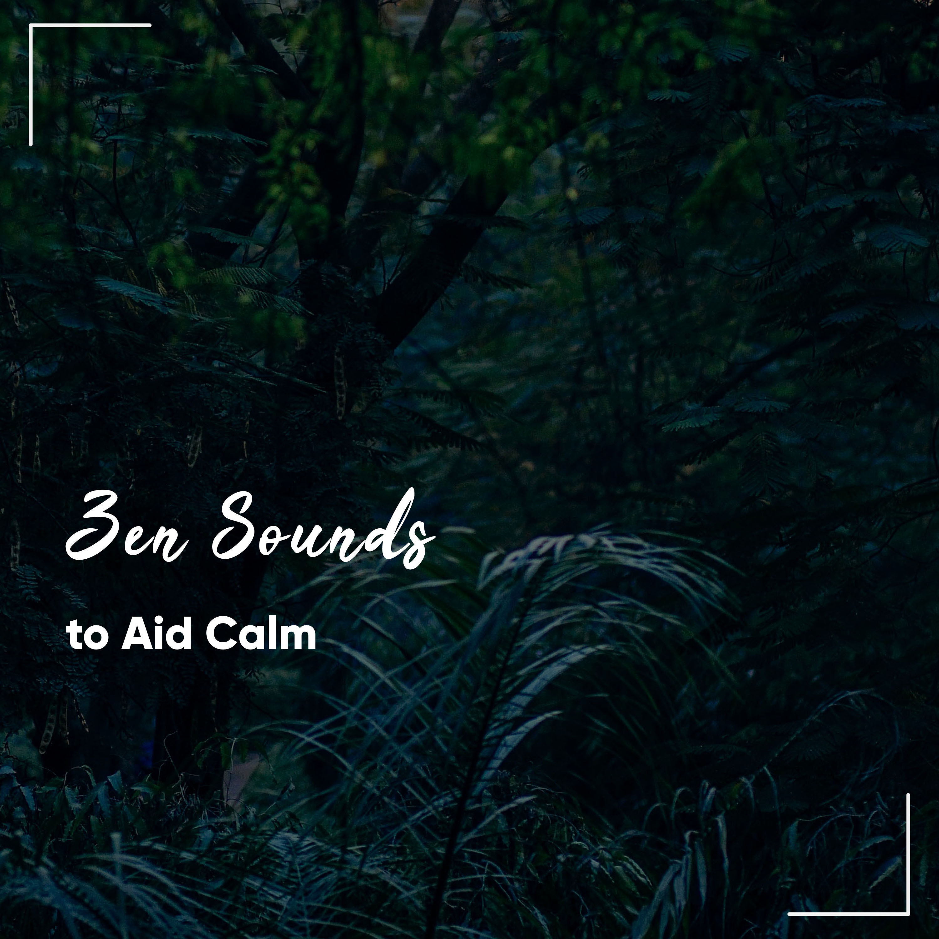 #19 Zen Sounds to Aid Calm and Relaxation