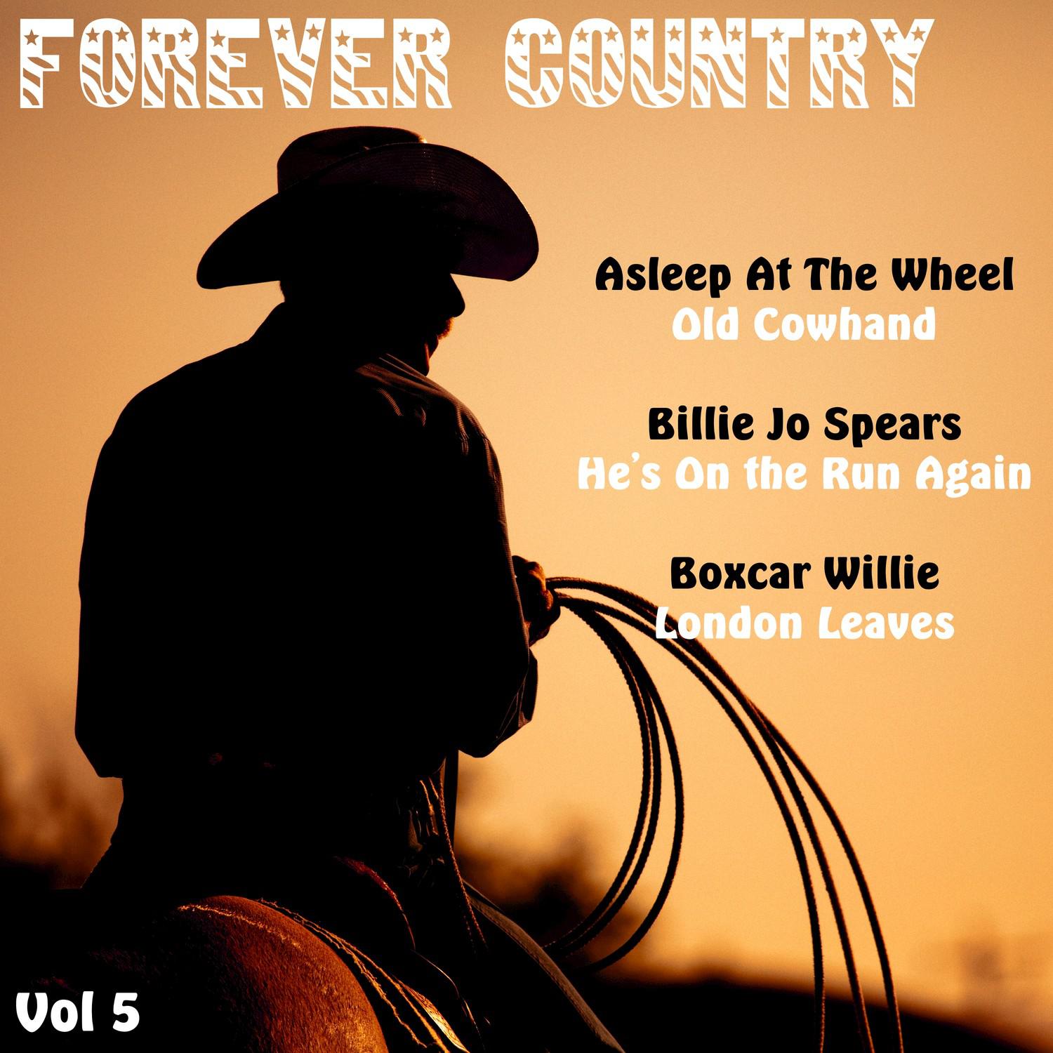 Forever Country, Vol. 5