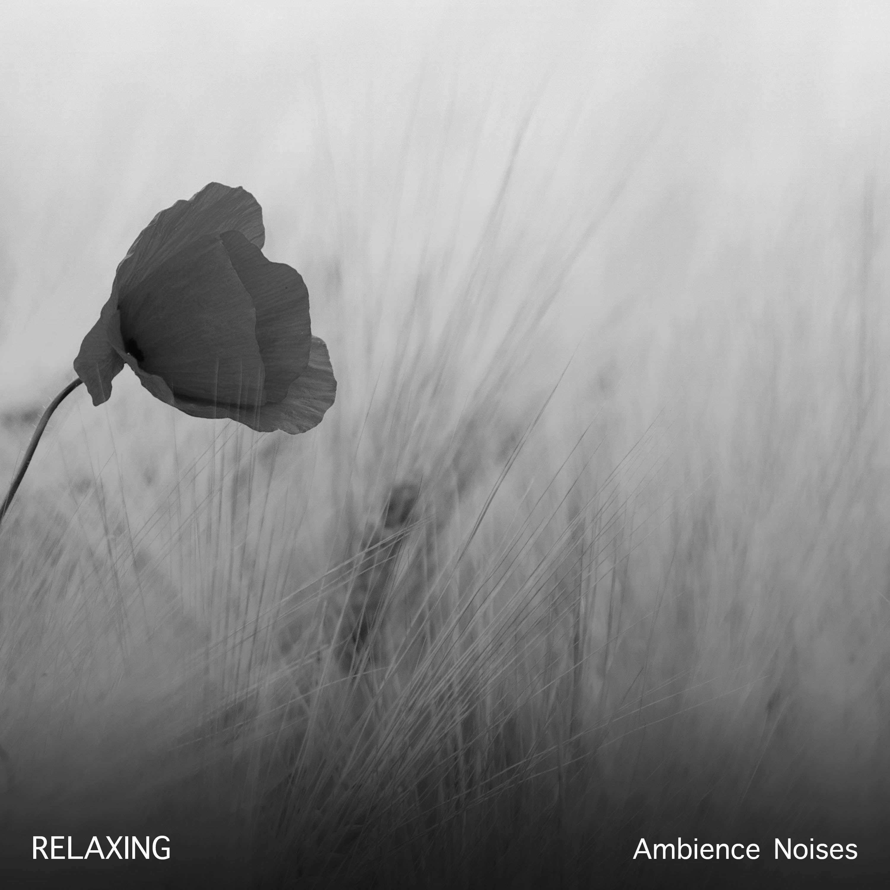 #21 Relaxing Ambience Noises for Practicing Calm
