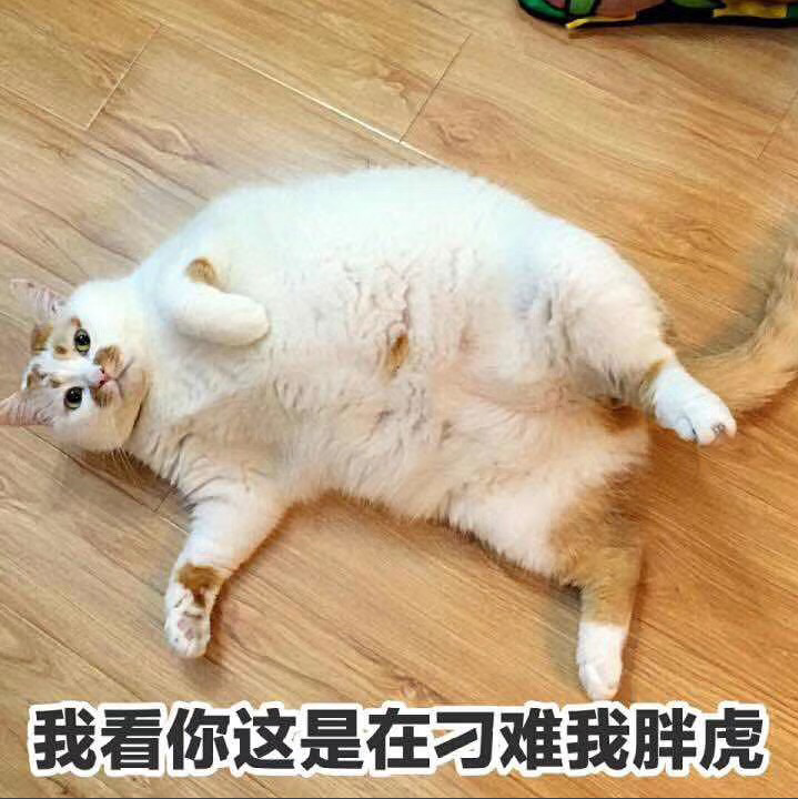 追梦赤子心