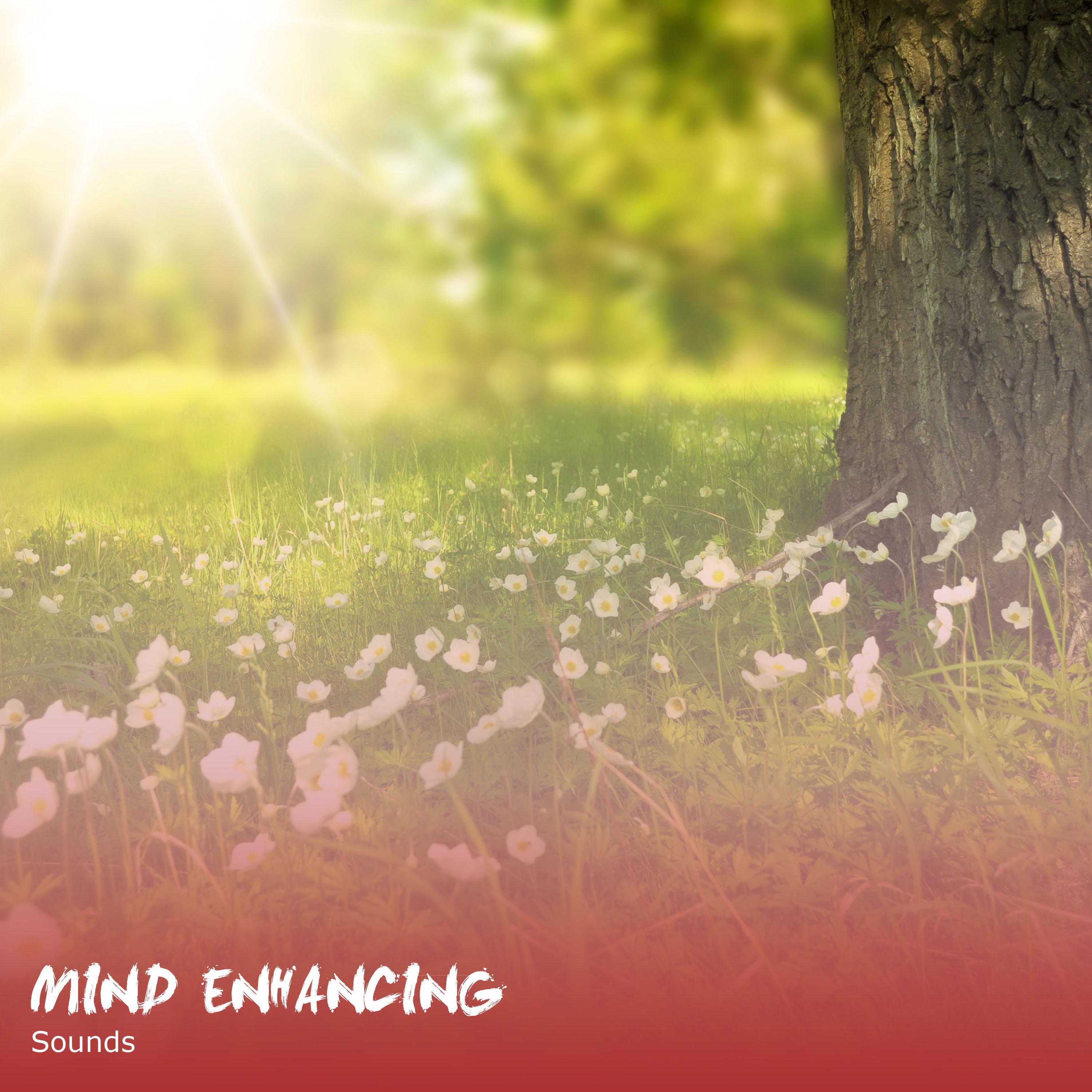 #15 Mind Enhancing Sounds