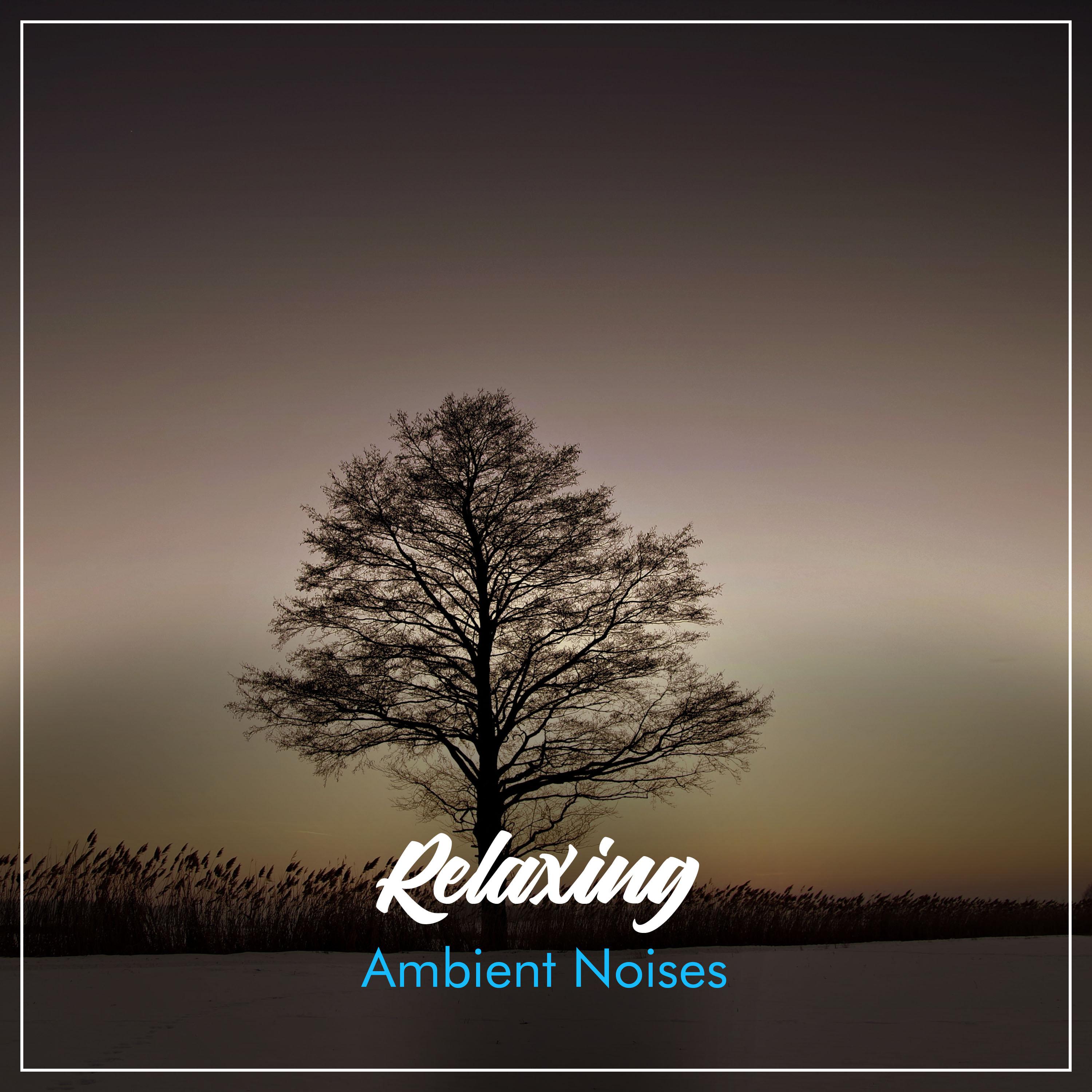#19 Relaxing, Ambient Noises to Calm your Brain