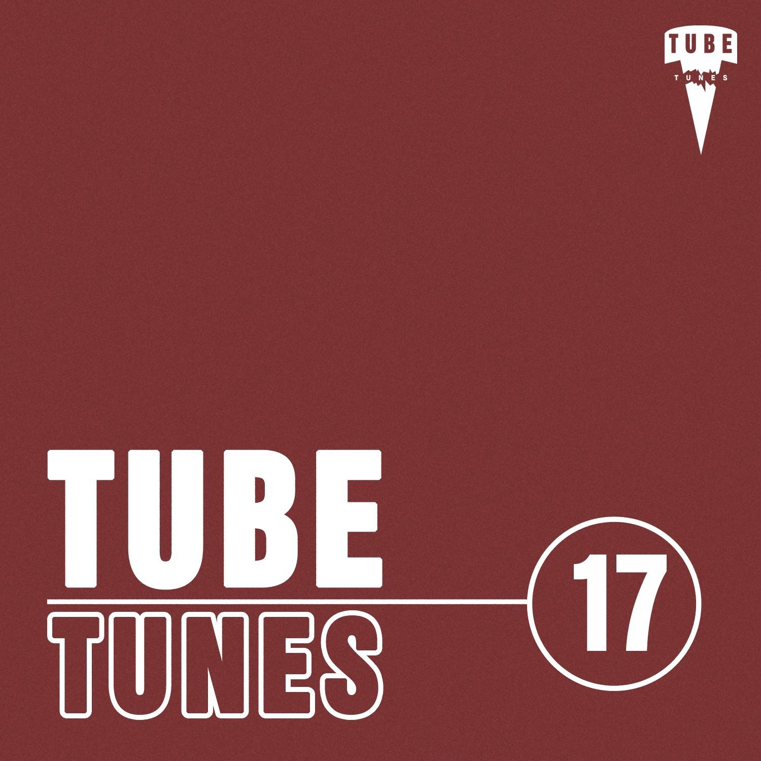 Tube Tunes, Vol. 17