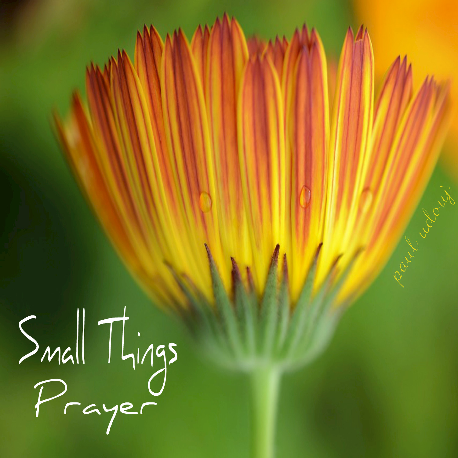 Prayer: Small Things